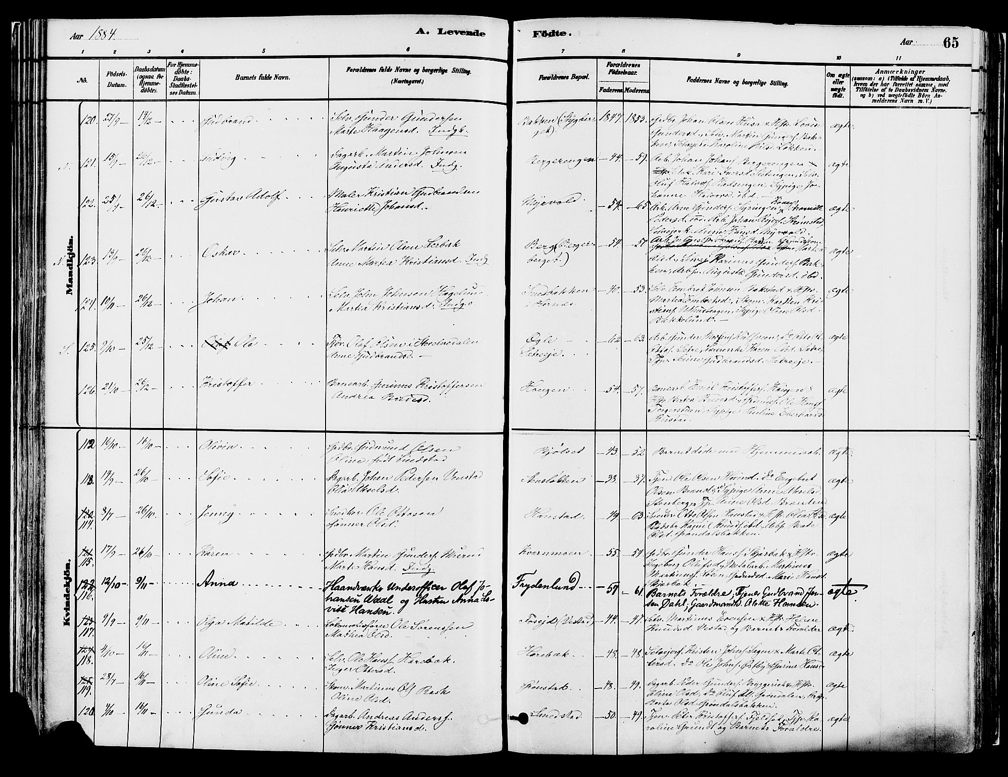 Elverum prestekontor, AV/SAH-PREST-044/H/Ha/Haa/L0013: Parish register (official) no. 13, 1880-1890, p. 65