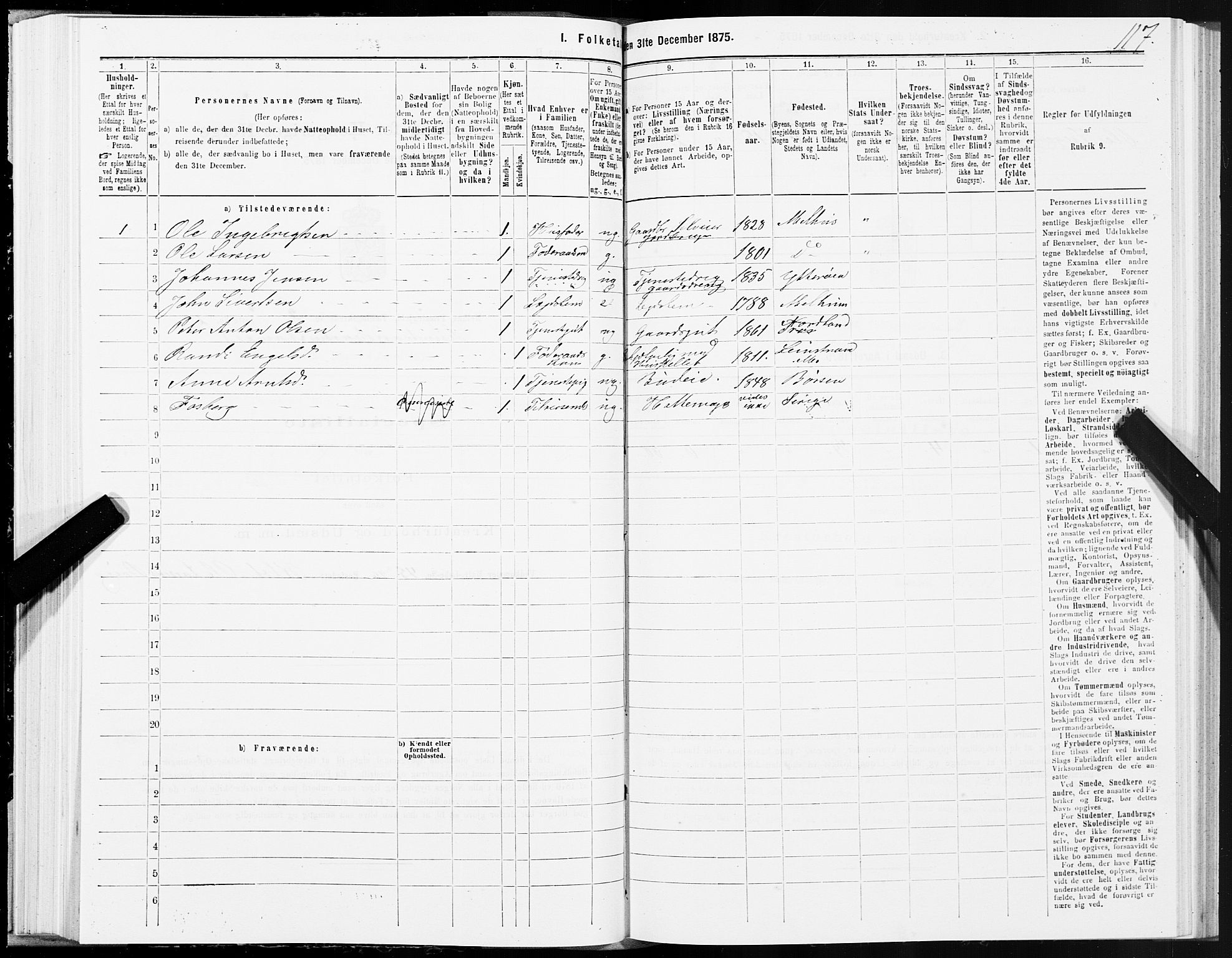 SAT, 1875 census for 1653P Melhus, 1875, p. 8117