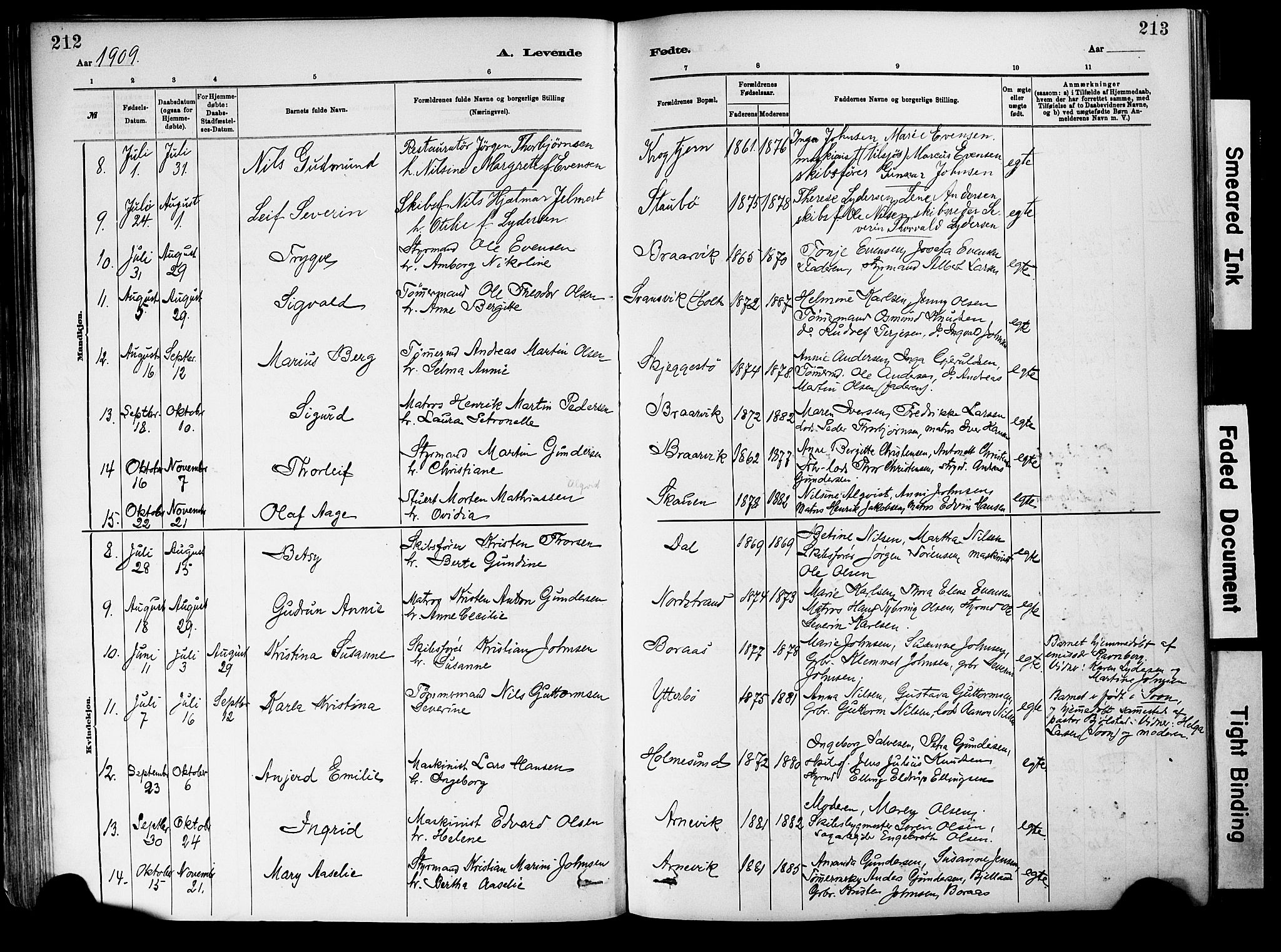 Dypvåg sokneprestkontor, AV/SAK-1111-0007/F/Fa/Fab/L0001: Parish register (official) no. A 1, 1885-1912, p. 212-213