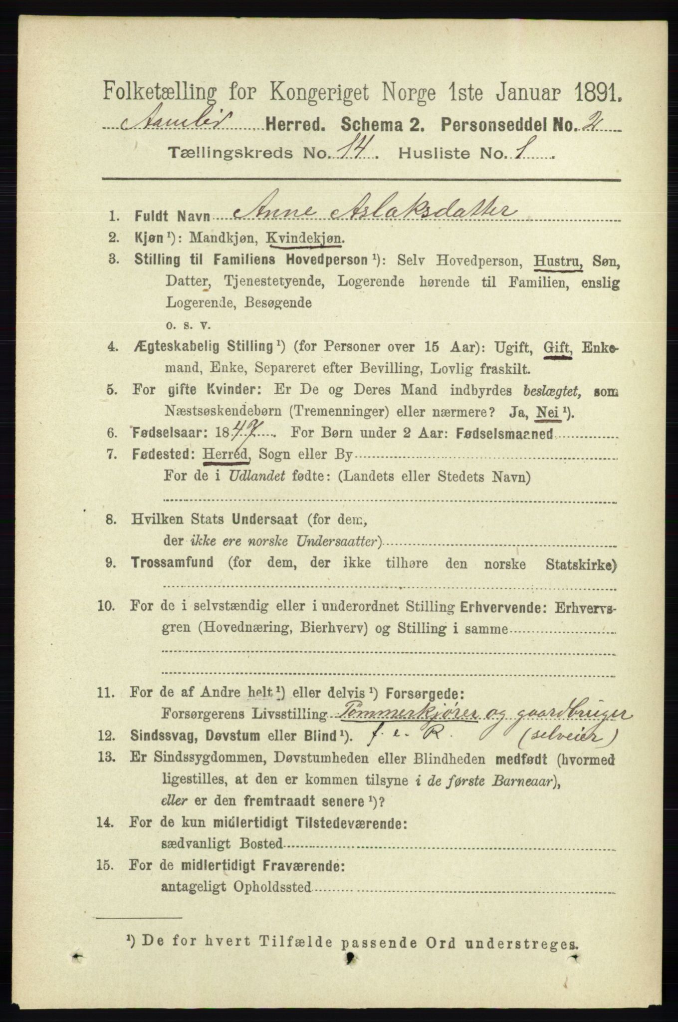 RA, 1891 census for 0929 Åmli, 1891, p. 2267