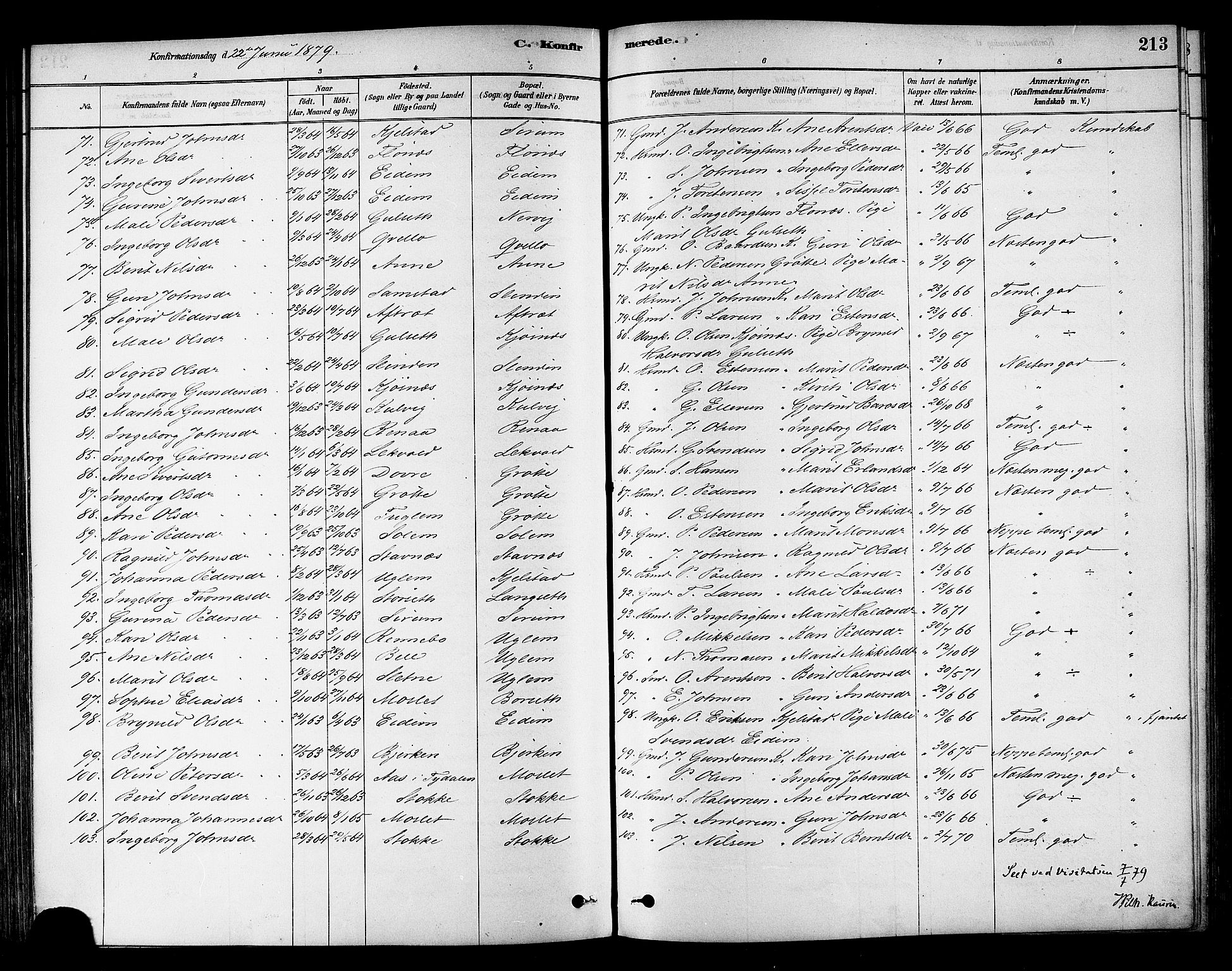 Ministerialprotokoller, klokkerbøker og fødselsregistre - Sør-Trøndelag, SAT/A-1456/695/L1148: Parish register (official) no. 695A08, 1878-1891, p. 213