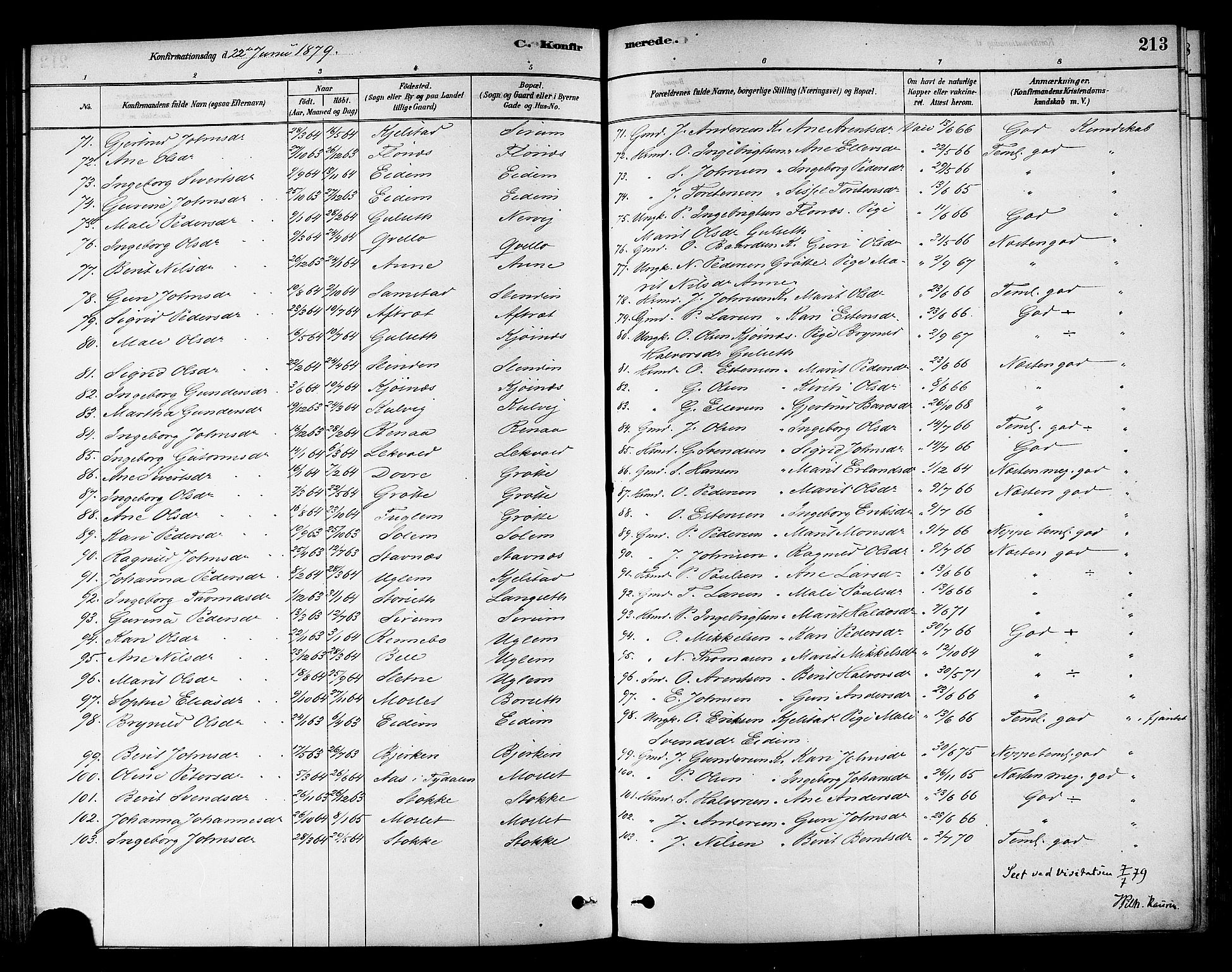 Ministerialprotokoller, klokkerbøker og fødselsregistre - Sør-Trøndelag, AV/SAT-A-1456/695/L1148: Parish register (official) no. 695A08, 1878-1891, p. 213