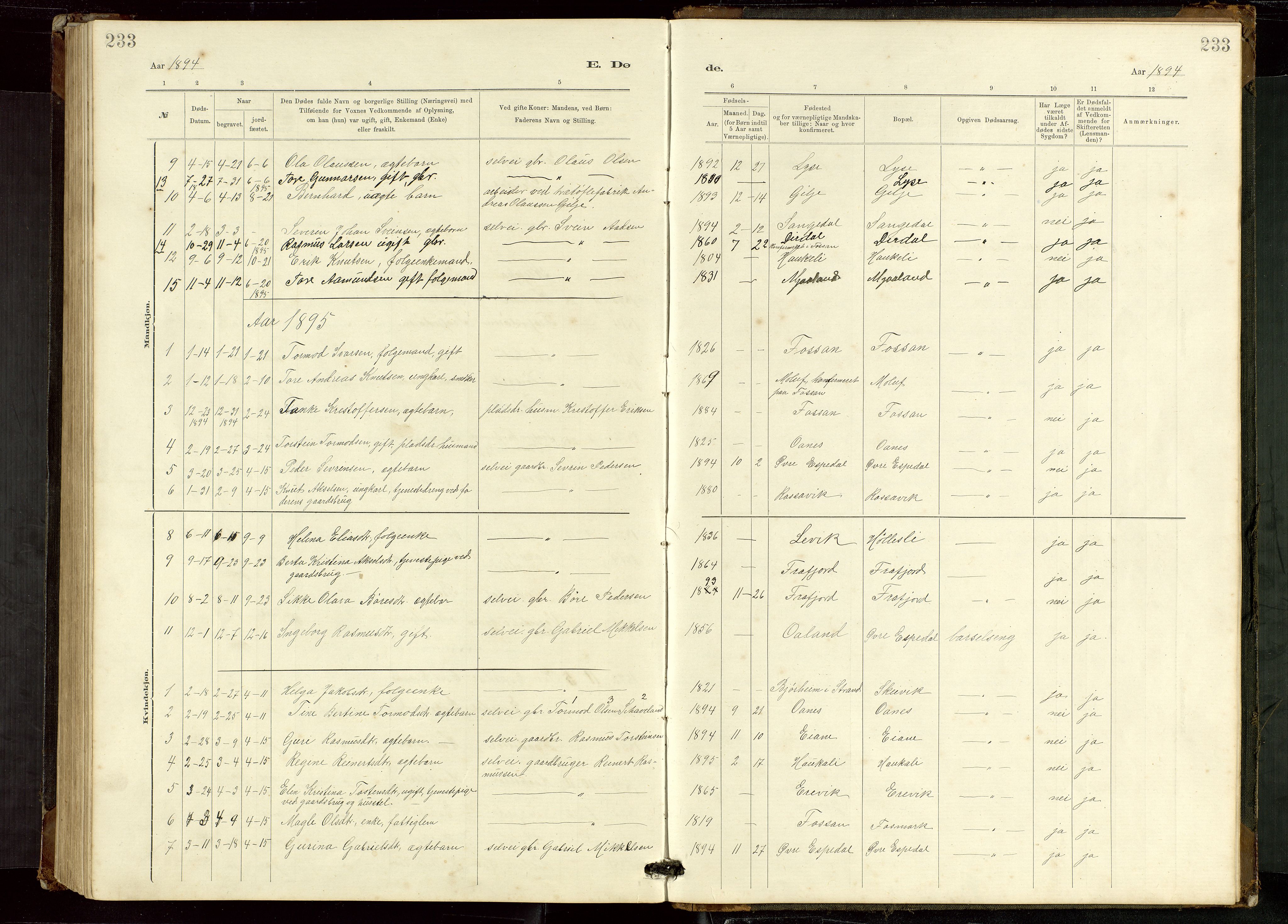 Høgsfjord sokneprestkontor, AV/SAST-A-101624/H/Ha/Hab/L0009: Parish register (copy) no. B 9, 1883-1920, p. 233