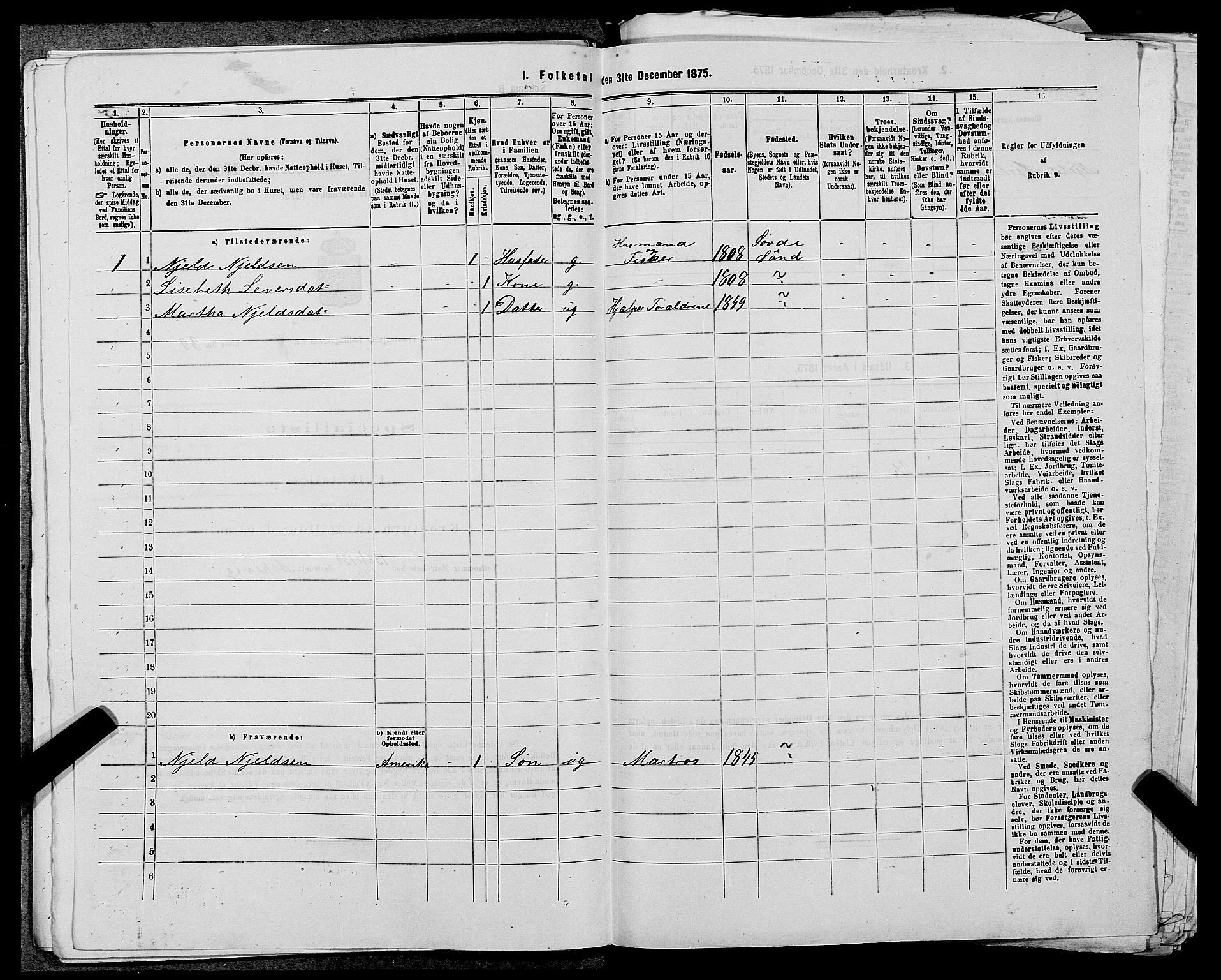 SAST, 1875 census for 1138P Jelsa, 1875, p. 666