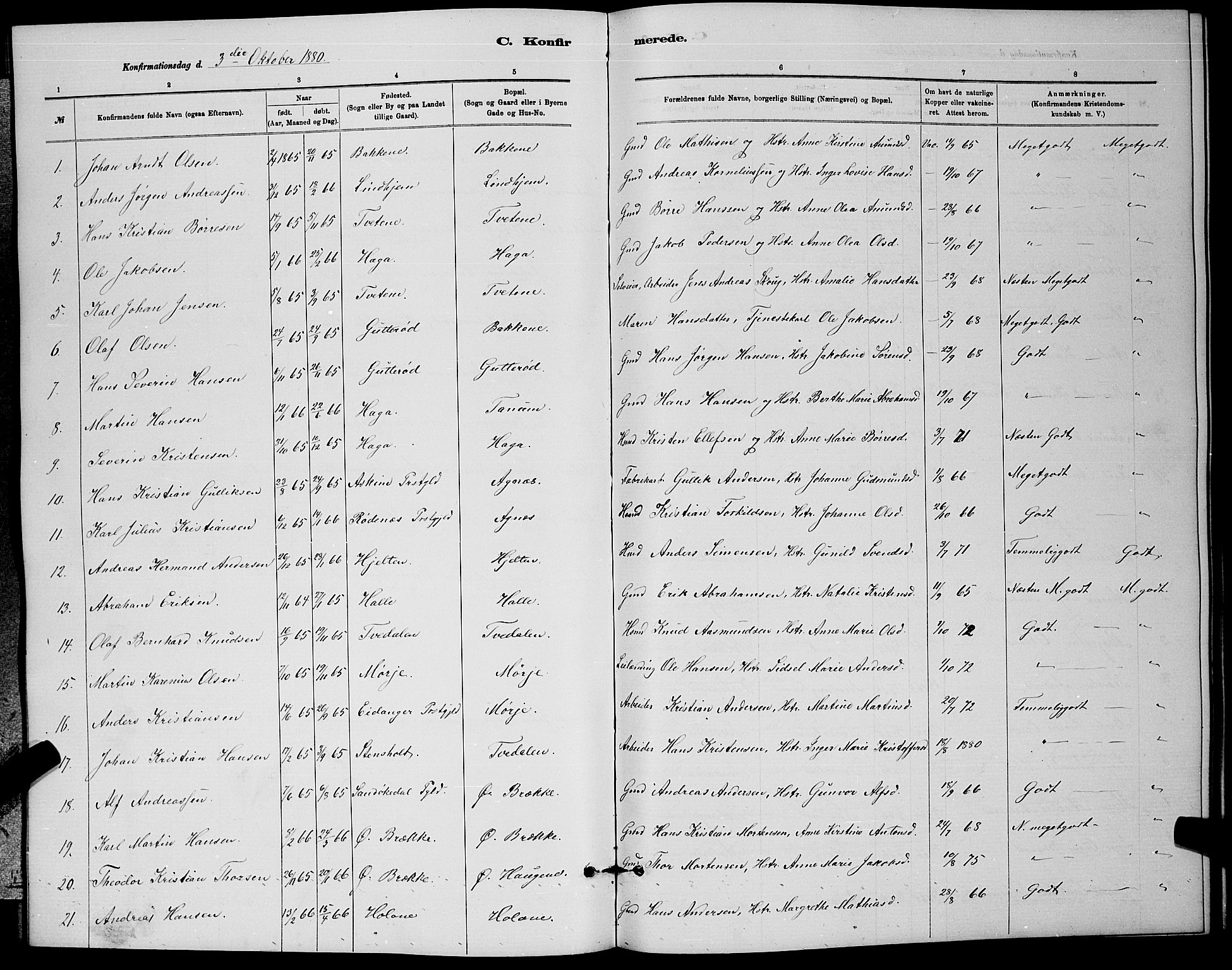 Brunlanes kirkebøker, AV/SAKO-A-342/G/Ga/L0003: Parish register (copy) no. I 3, 1877-1898