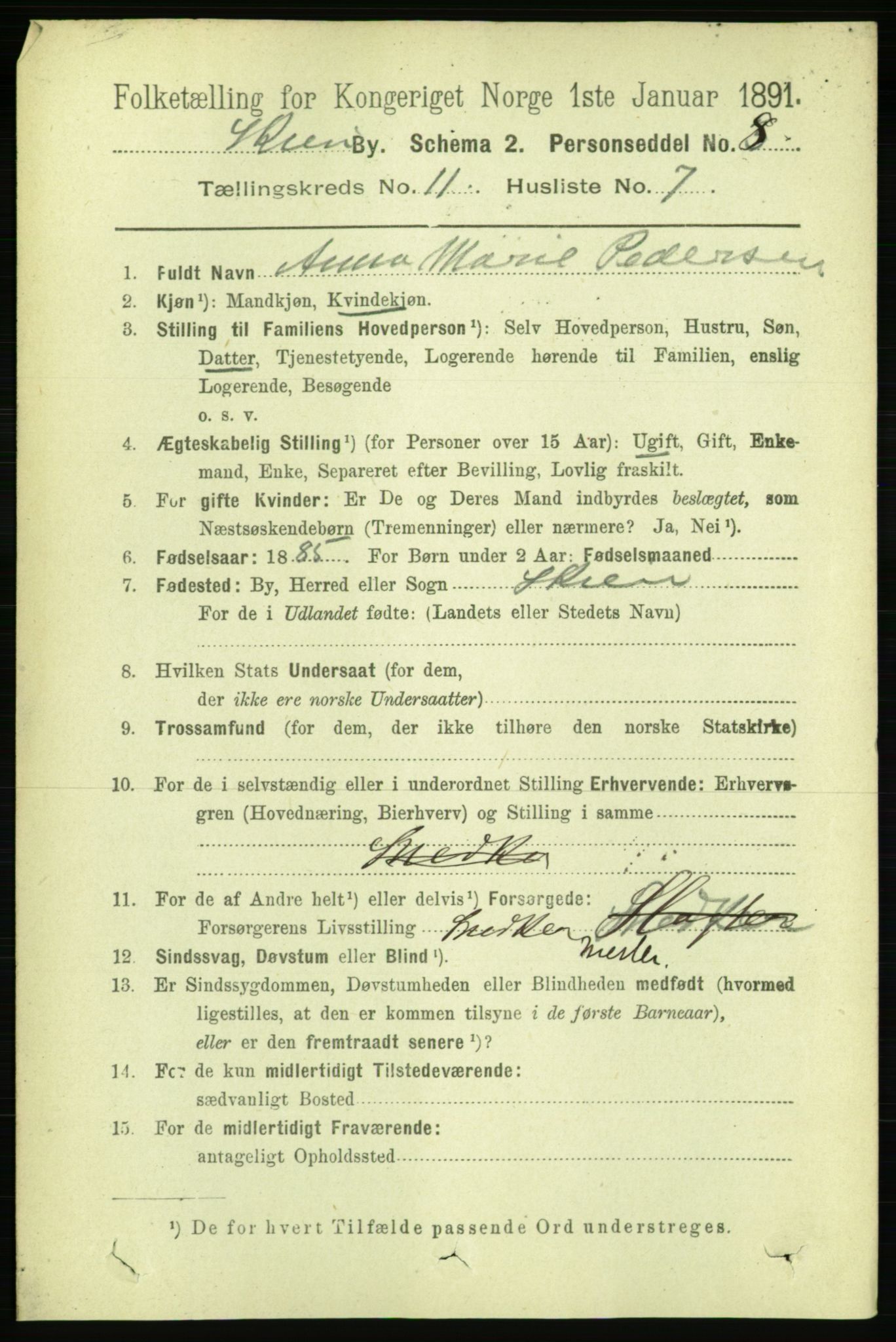 RA, 1891 census for 0806 Skien, 1891, p. 3952