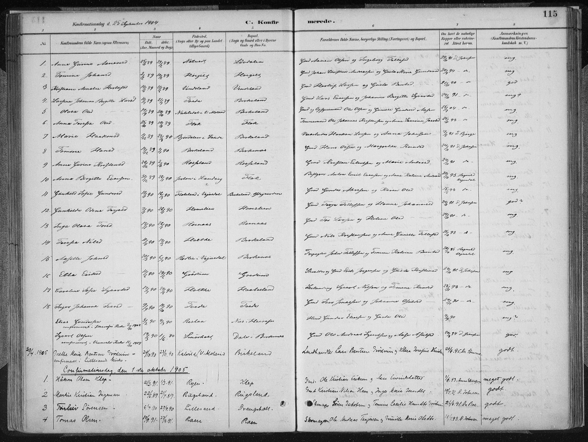 Birkenes sokneprestkontor, SAK/1111-0004/F/Fa/L0005: Parish register (official) no. A 5, 1887-1907, p. 115