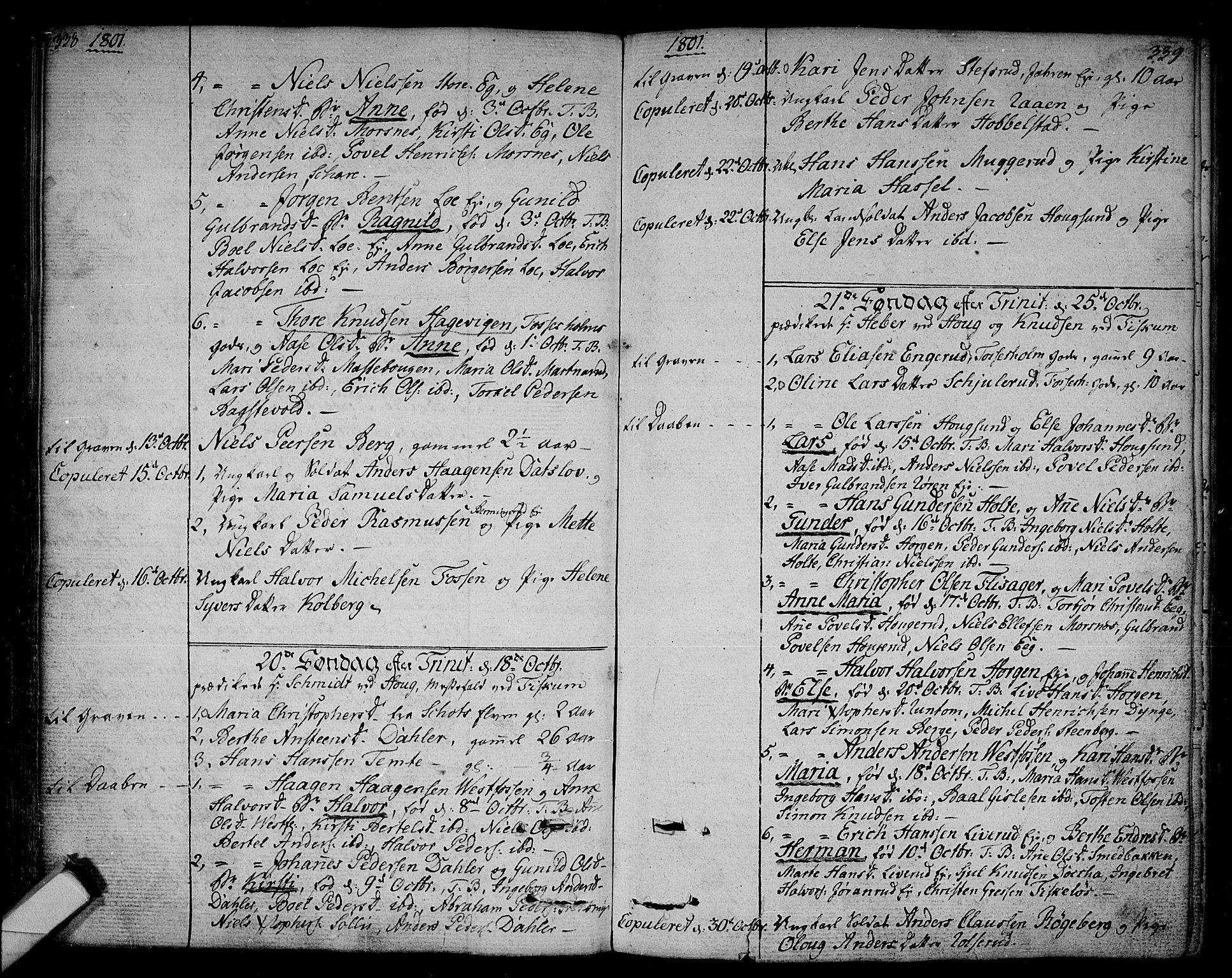 Eiker kirkebøker, AV/SAKO-A-4/F/Fa/L0009: Parish register (official) no. I 9, 1789-1806, p. 338-339