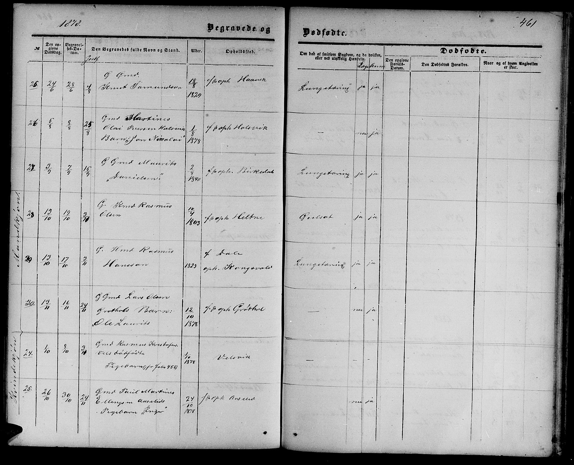 Ministerialprotokoller, klokkerbøker og fødselsregistre - Møre og Romsdal, AV/SAT-A-1454/511/L0157: Parish register (copy) no. 511C03, 1864-1884, p. 461