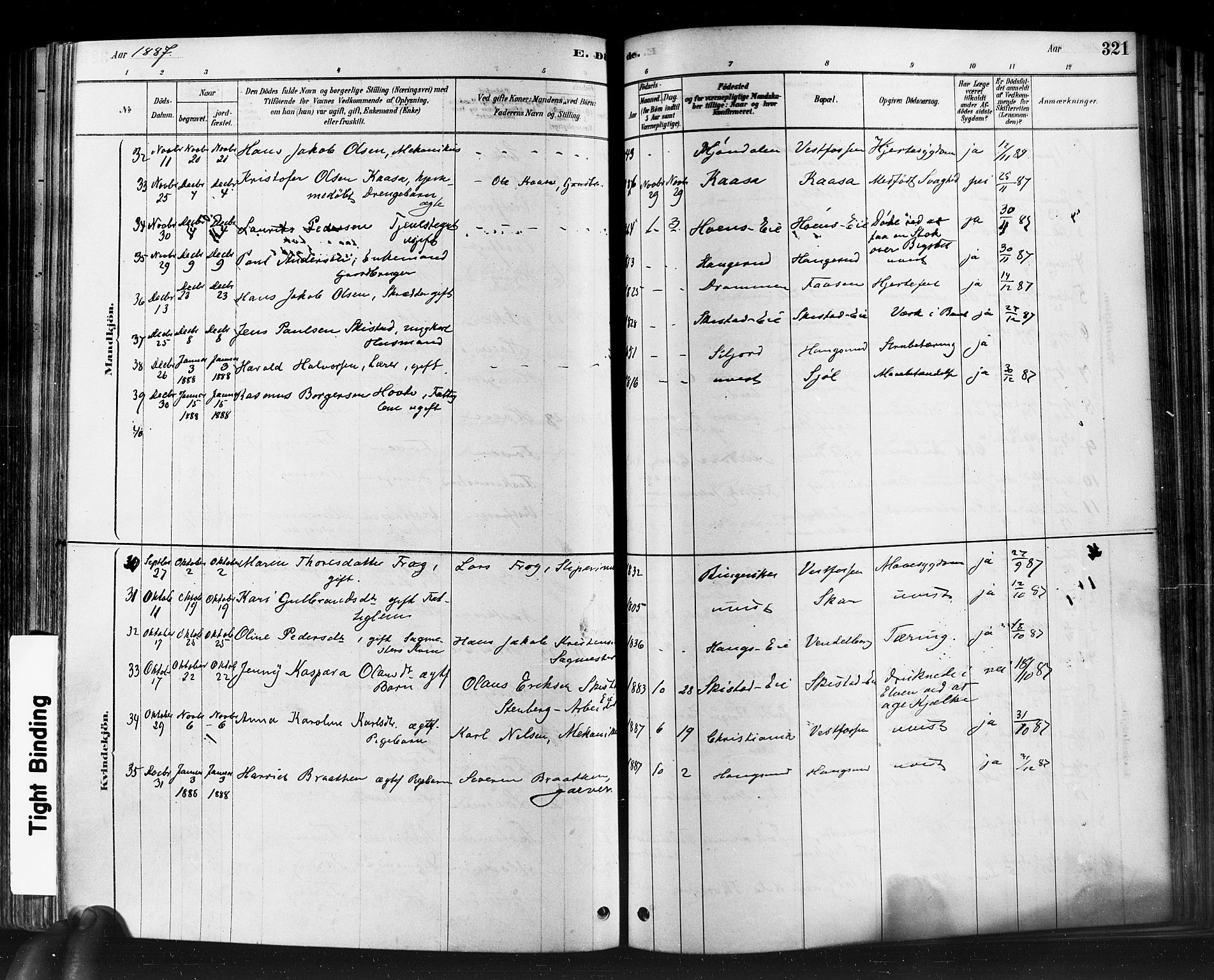Eiker kirkebøker, SAKO/A-4/F/Fb/L0001: Parish register (official) no. II 1, 1878-1888, p. 321