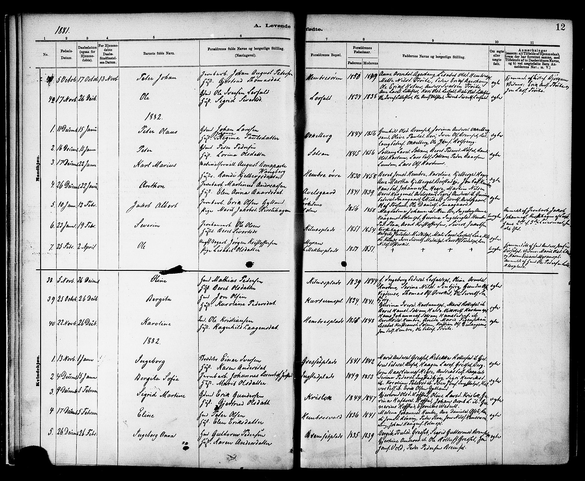 Ministerialprotokoller, klokkerbøker og fødselsregistre - Nord-Trøndelag, SAT/A-1458/703/L0030: Parish register (official) no. 703A03, 1880-1892, p. 12