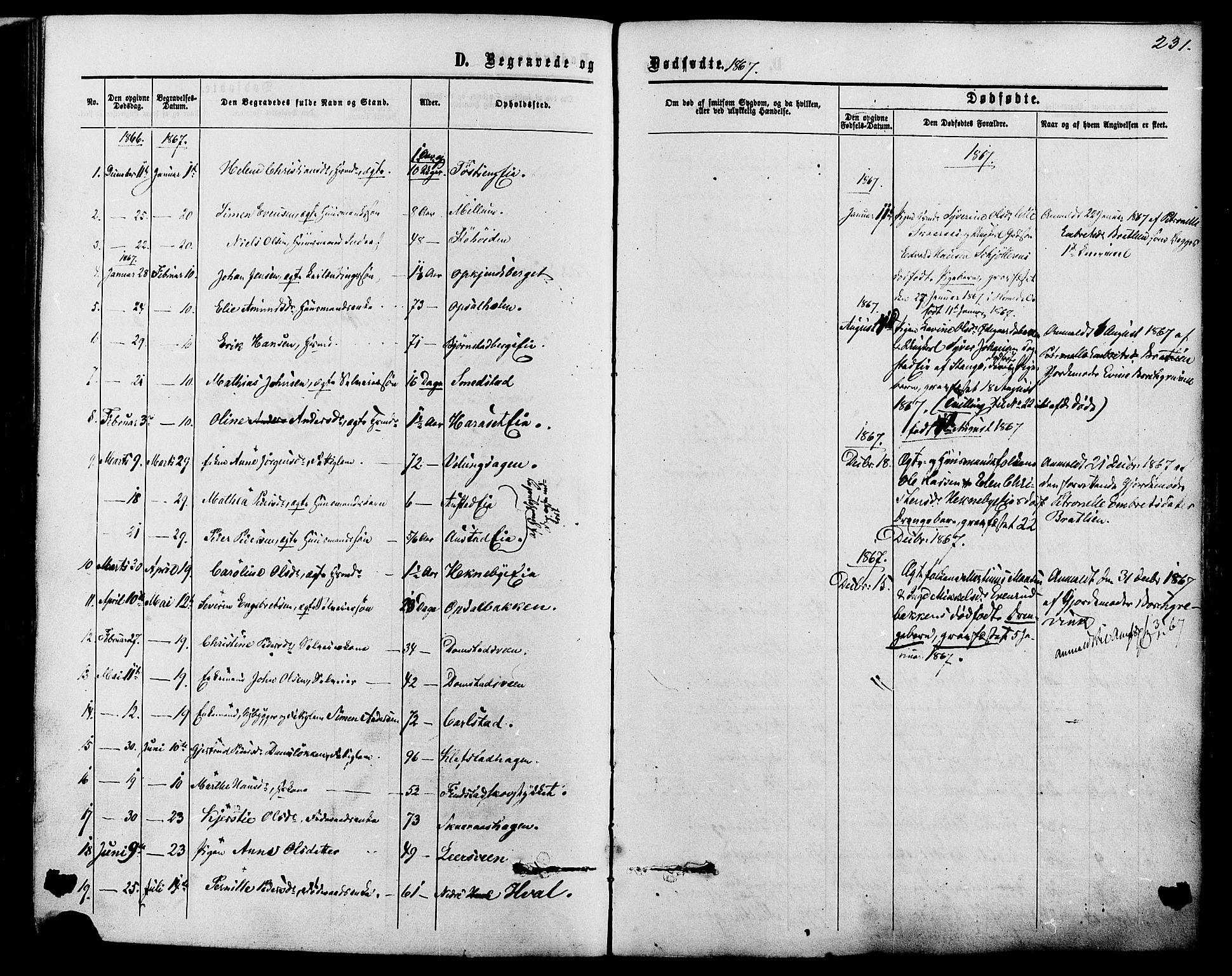 Romedal prestekontor, SAH/PREST-004/K/L0006: Parish register (official) no. 6, 1866-1886, p. 231