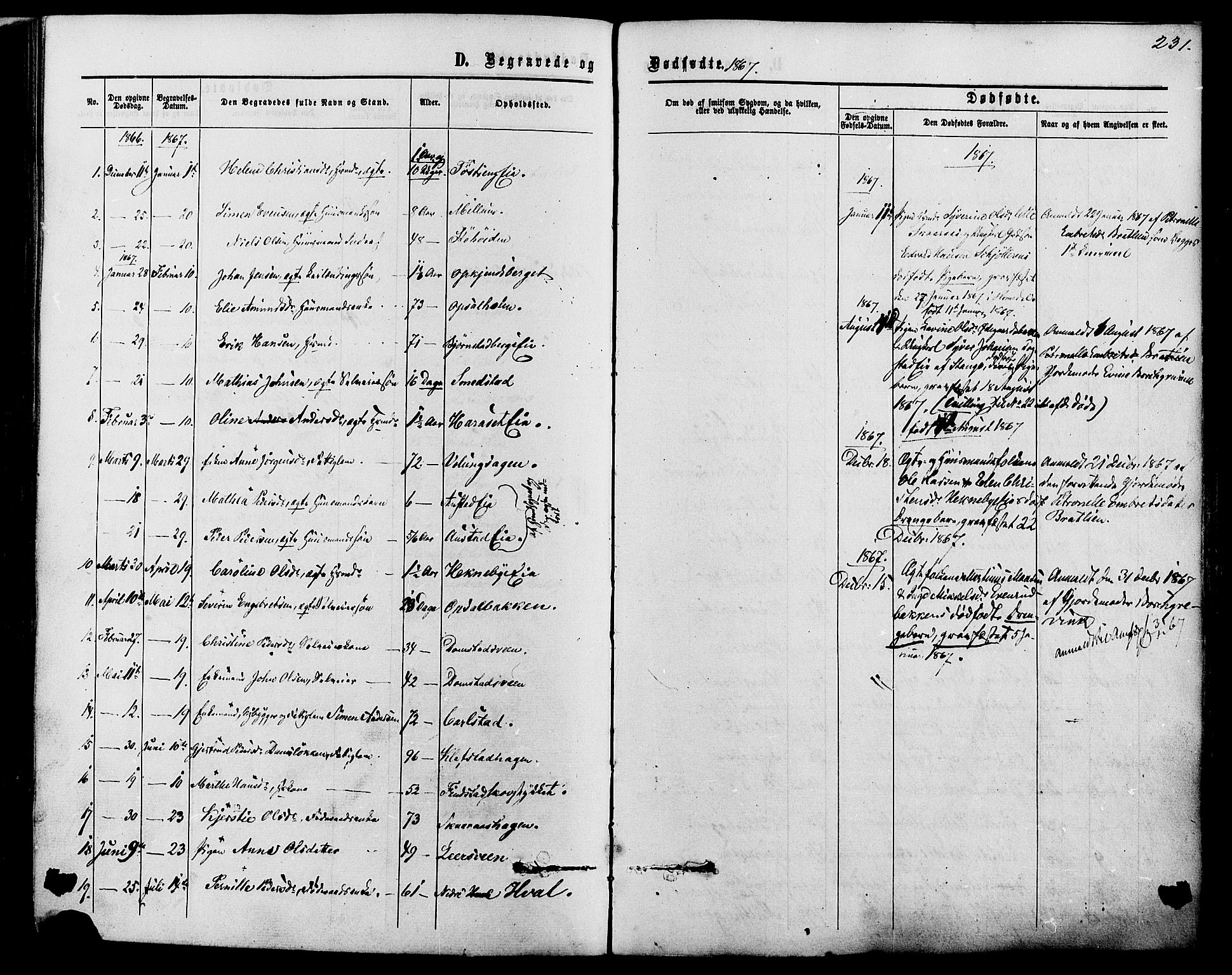 Romedal prestekontor, AV/SAH-PREST-004/K/L0006: Parish register (official) no. 6, 1866-1886, p. 231