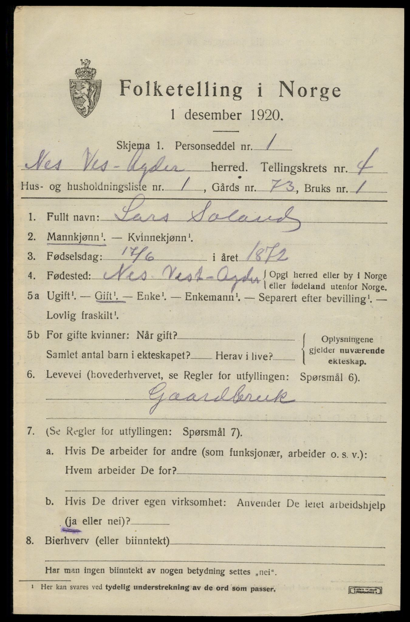 SAK, 1920 census for Nes (V-A), 1920, p. 2058