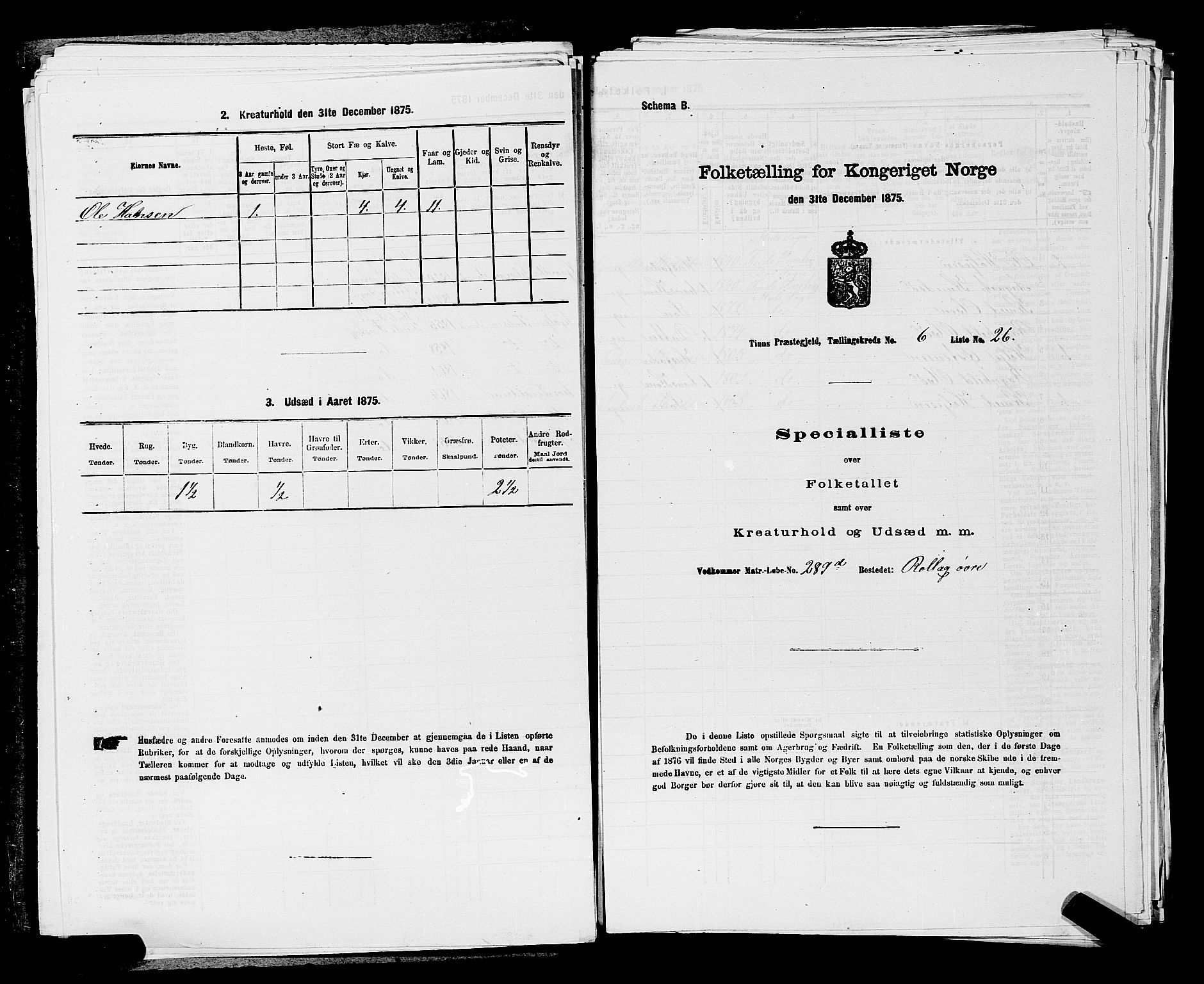 SAKO, 1875 census for 0826P Tinn, 1875, p. 796