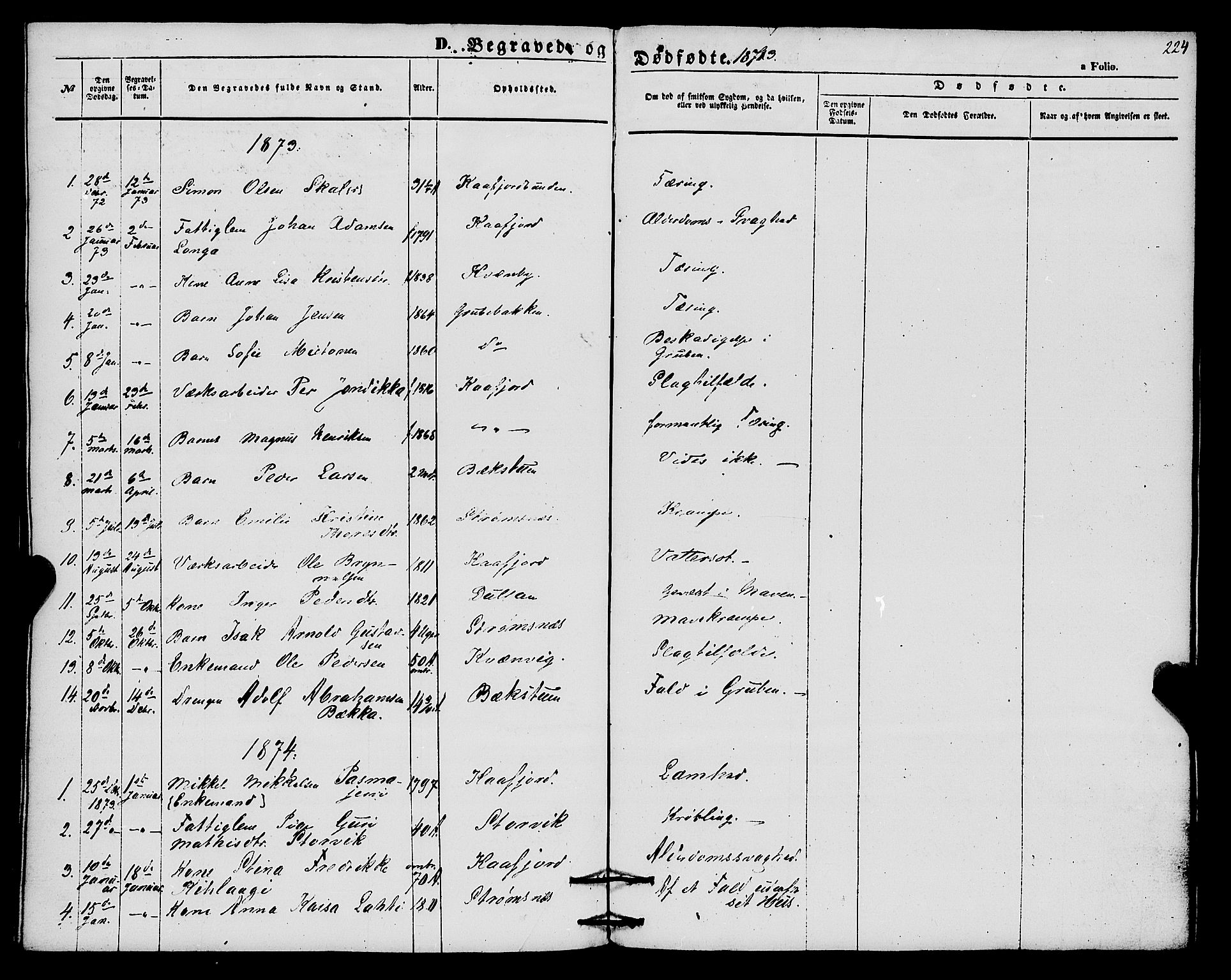 Alta sokneprestkontor, SATØ/S-1338/H/Ha/L0004.kirke: Parish register (official) no. 4, 1858-1880, p. 224