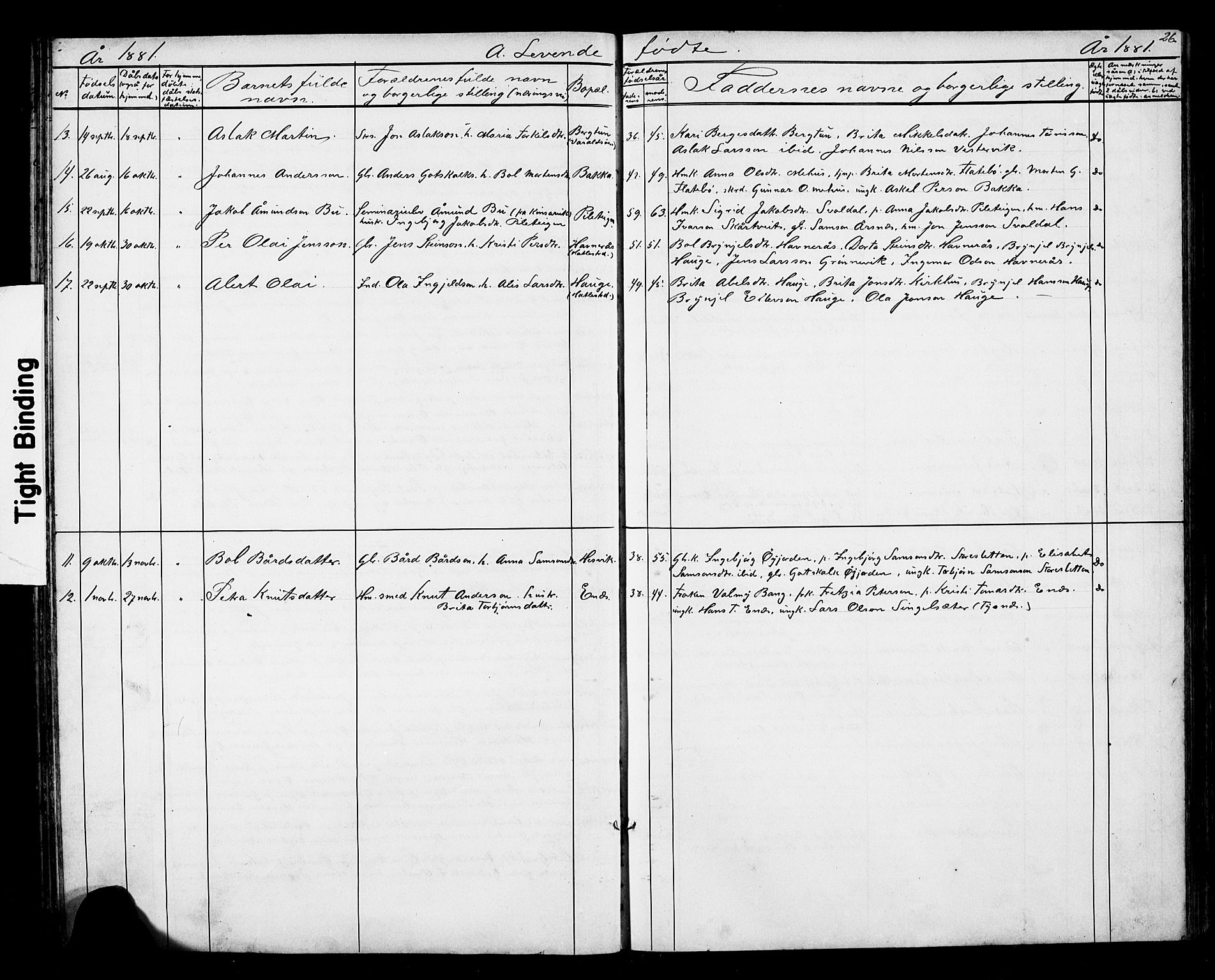 Kvinnherad sokneprestembete, SAB/A-76401/H/Hab: Parish register (copy) no. D 1, 1856-1905, p. 26