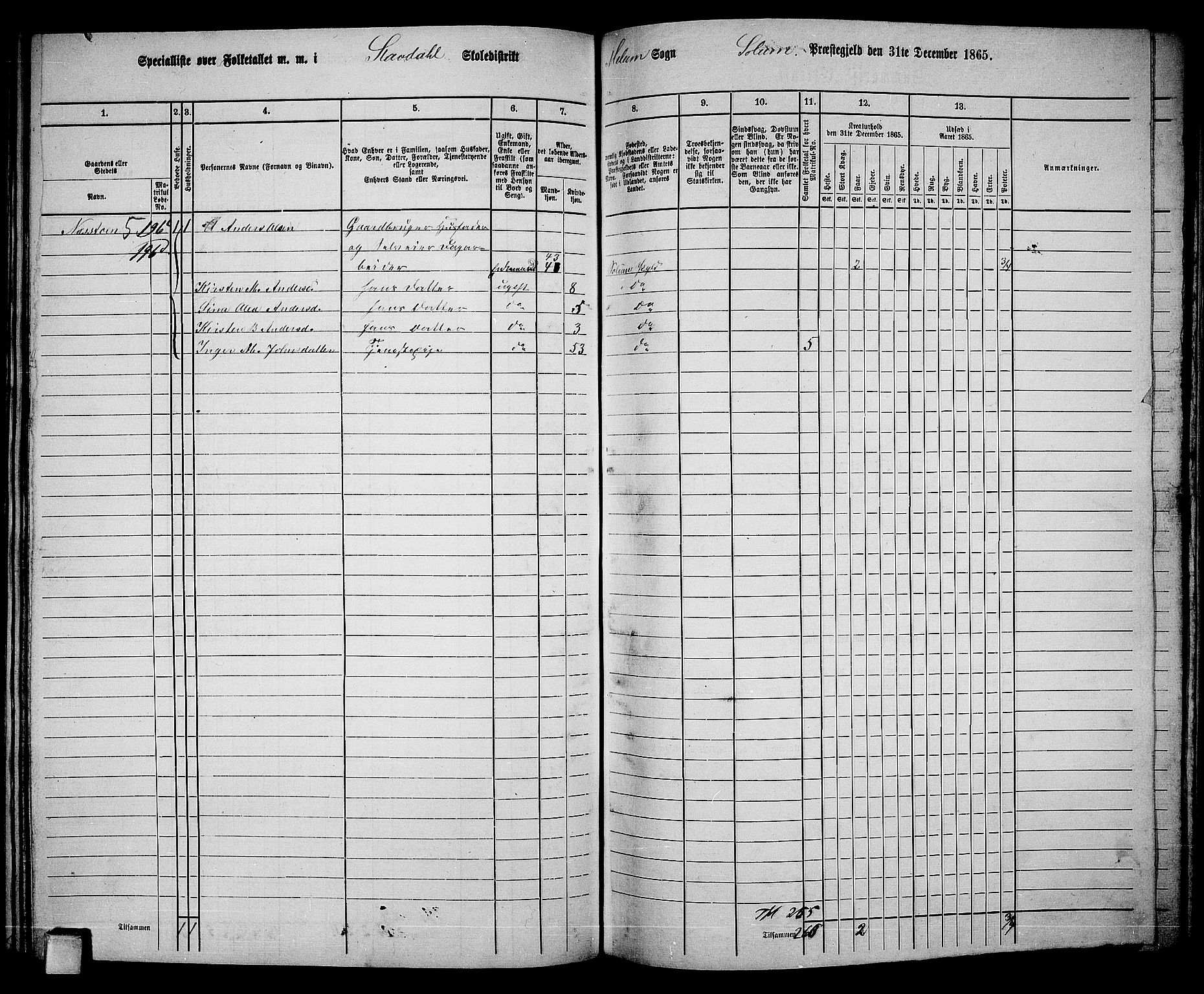 RA, 1865 census for Solum, 1865, p. 169