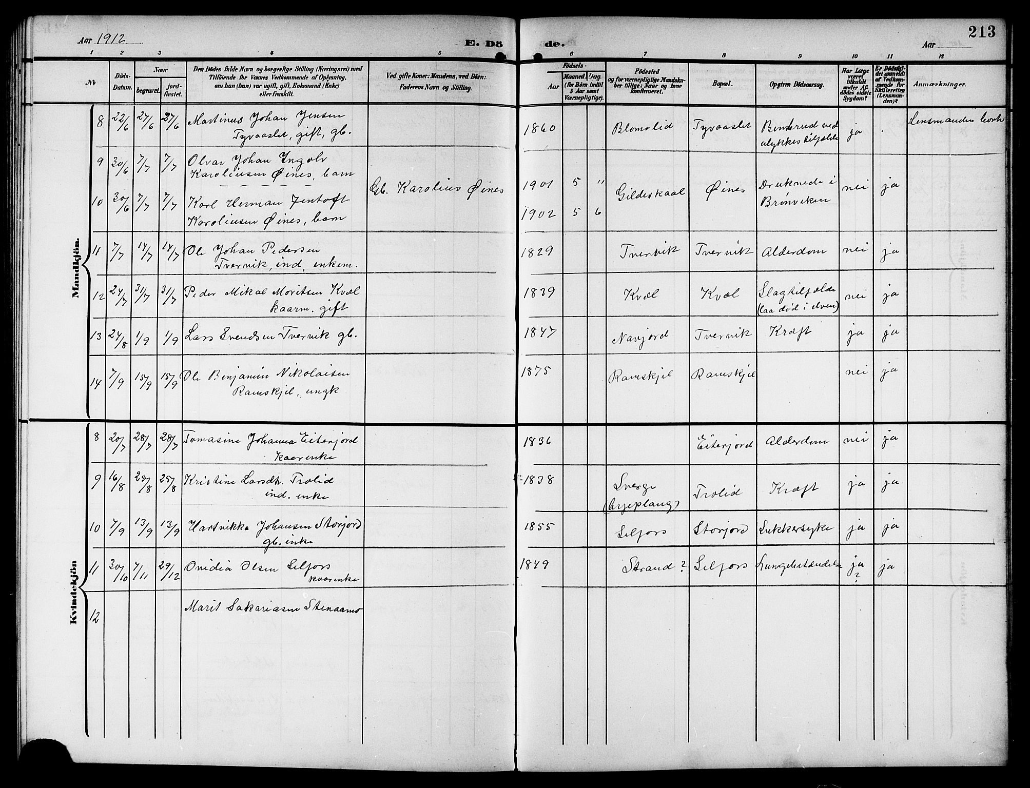 Ministerialprotokoller, klokkerbøker og fødselsregistre - Nordland, AV/SAT-A-1459/846/L0655: Parish register (copy) no. 846C05, 1902-1916, p. 213