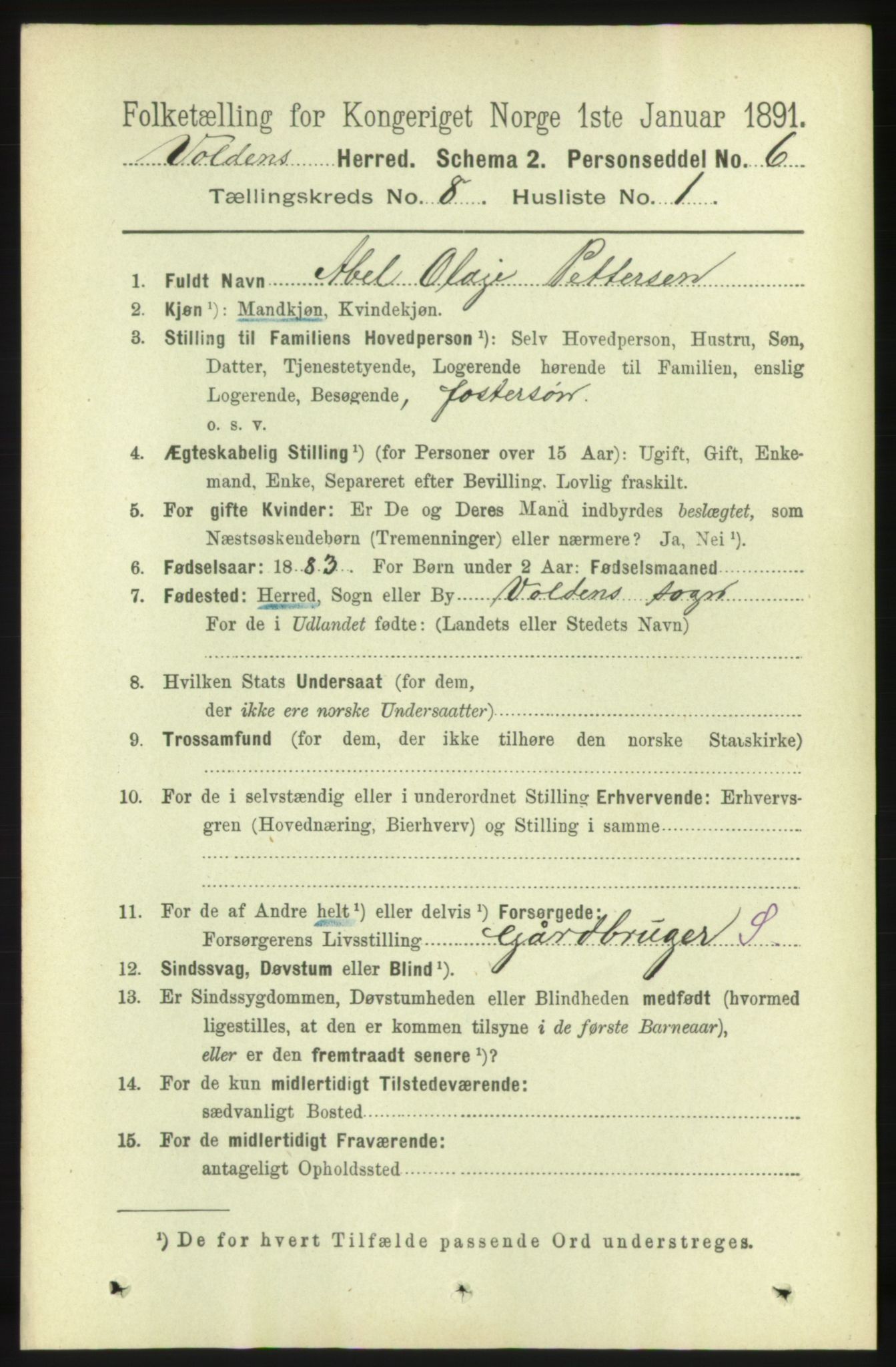 RA, 1891 census for 1519 Volda, 1891, p. 3831