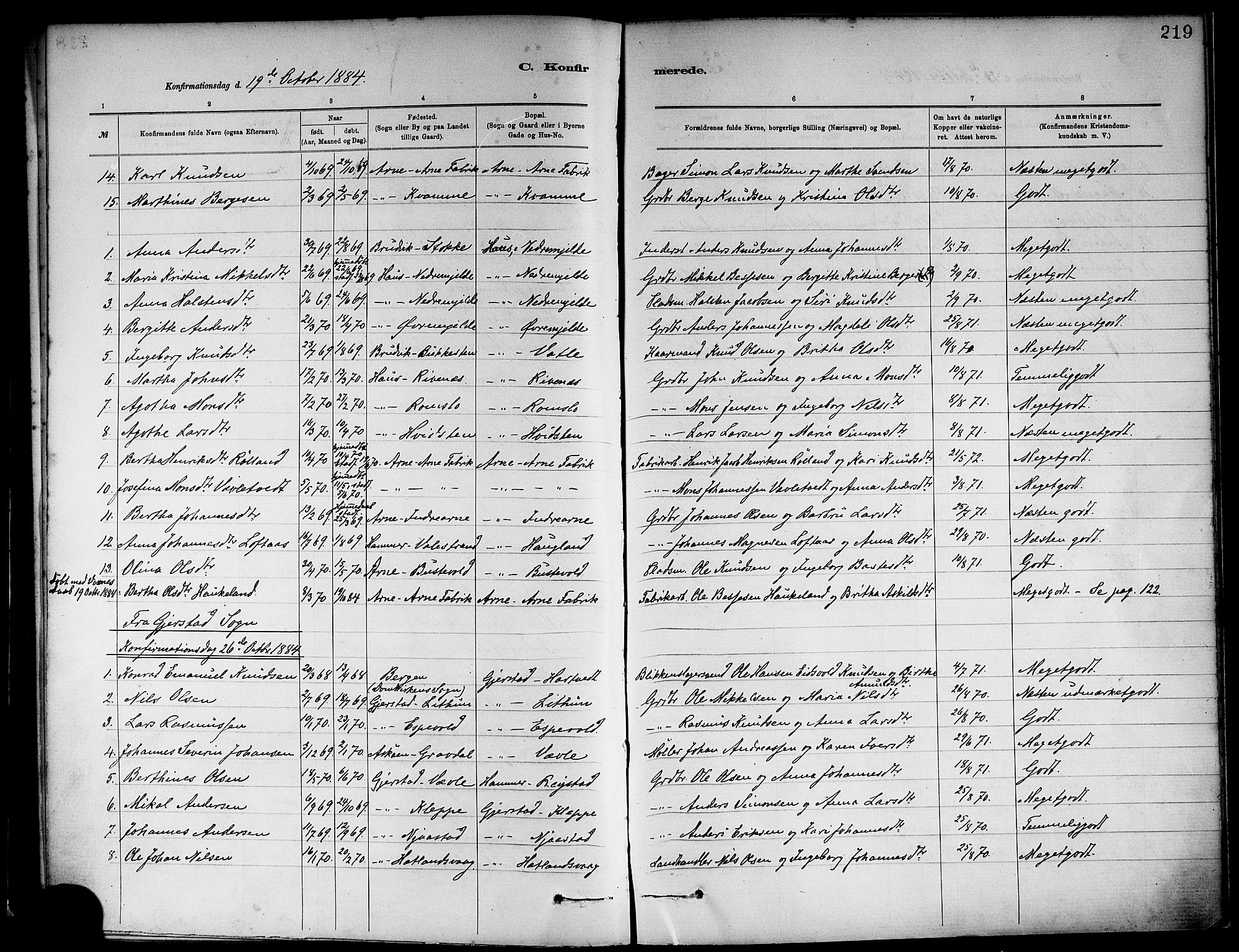 Haus sokneprestembete, AV/SAB-A-75601/H/Haa: Parish register (official) no. A 19I, 1878-1886, p. 219