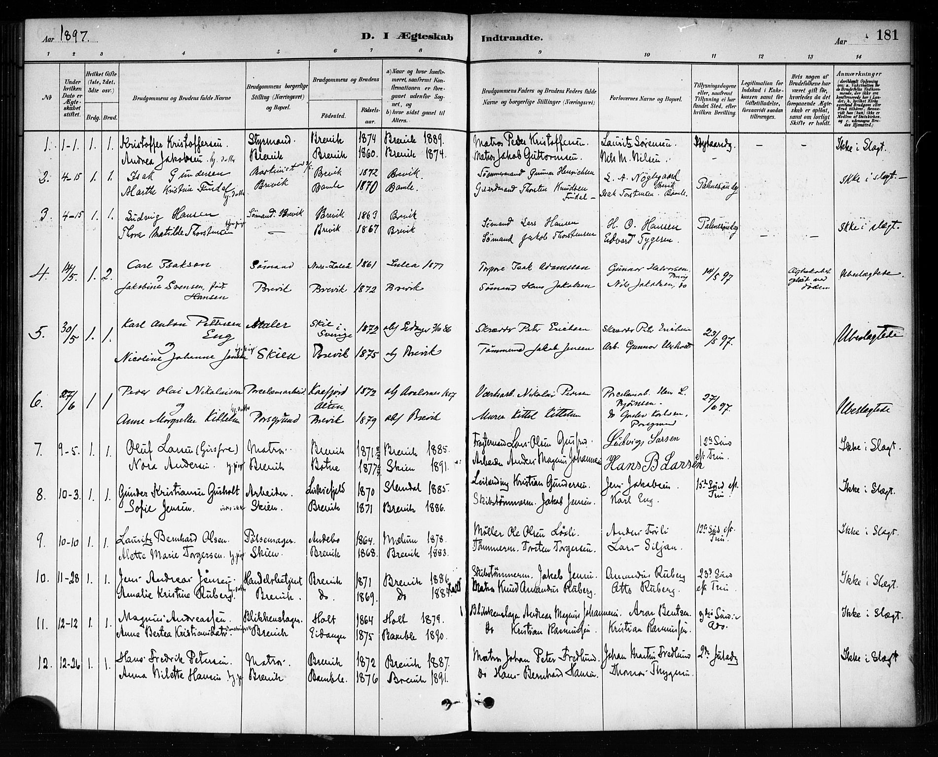 Brevik kirkebøker, SAKO/A-255/F/Fa/L0007: Parish register (official) no. 7, 1882-1900, p. 181