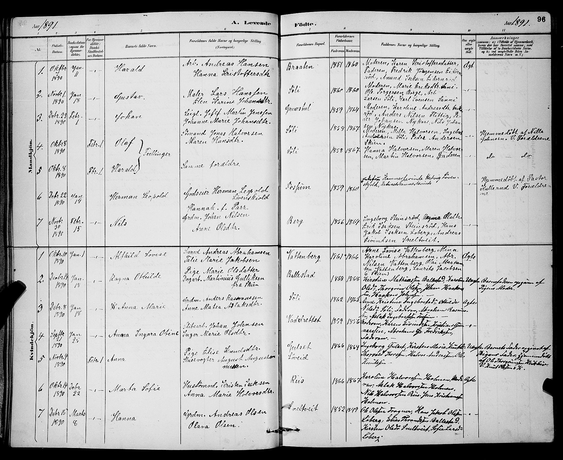 Gjerpen kirkebøker, SAKO/A-265/G/Ga/L0002: Parish register (copy) no. I 2, 1883-1900, p. 96