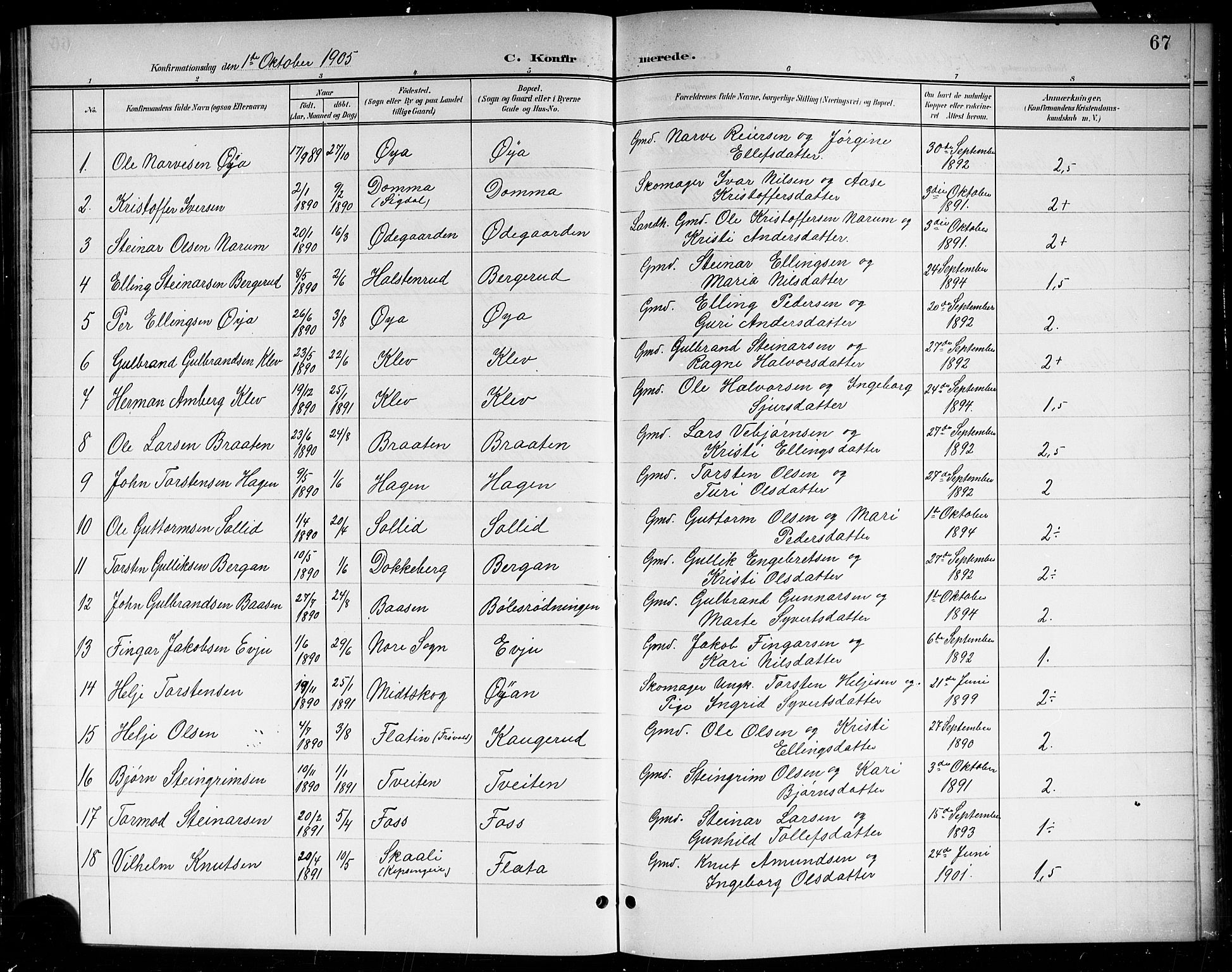Sigdal kirkebøker, SAKO/A-245/G/Gb/L0003: Parish register (copy) no. II 3, 1901-1916, p. 67