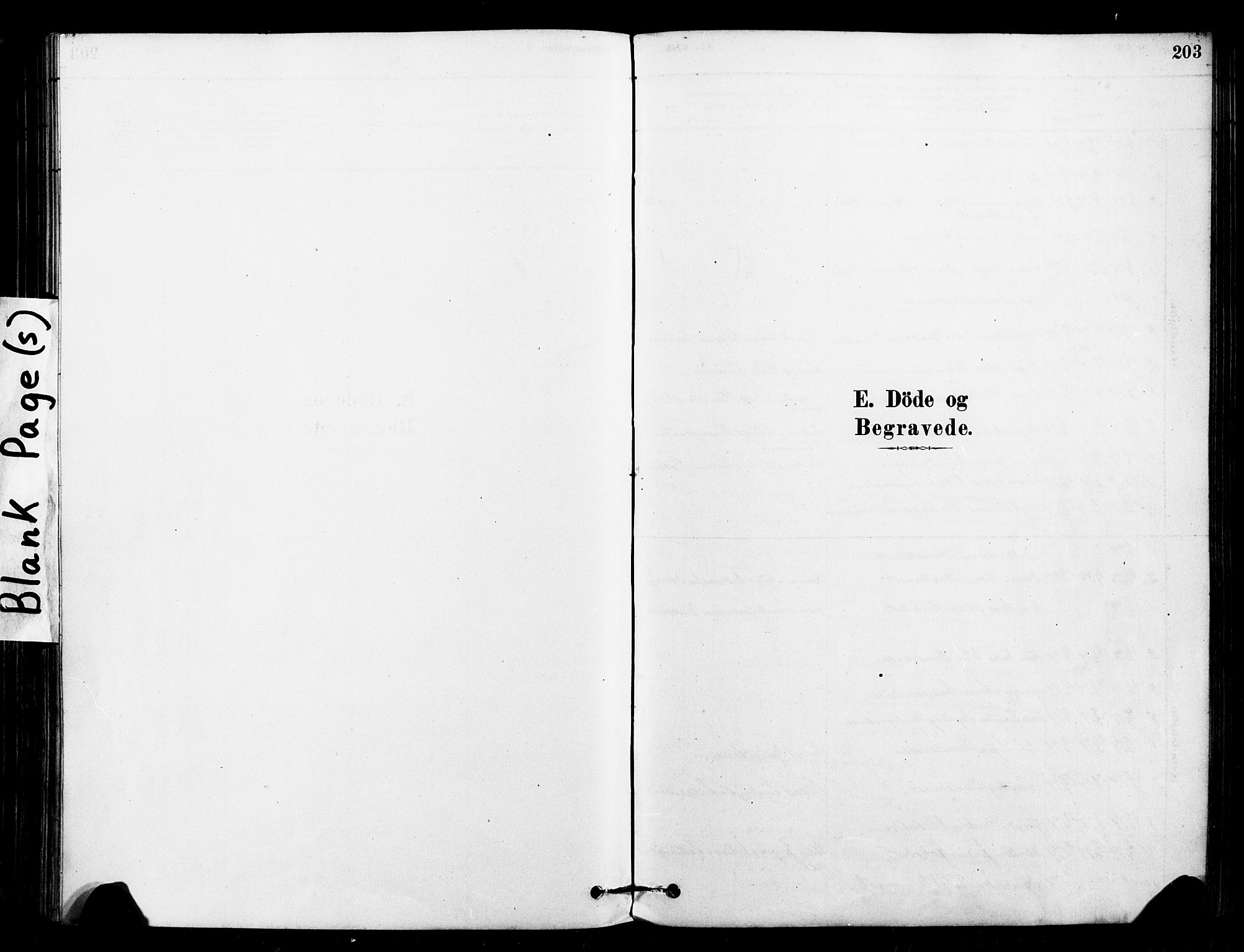 Ministerialprotokoller, klokkerbøker og fødselsregistre - Sør-Trøndelag, AV/SAT-A-1456/640/L0578: Parish register (official) no. 640A03, 1879-1889, p. 203