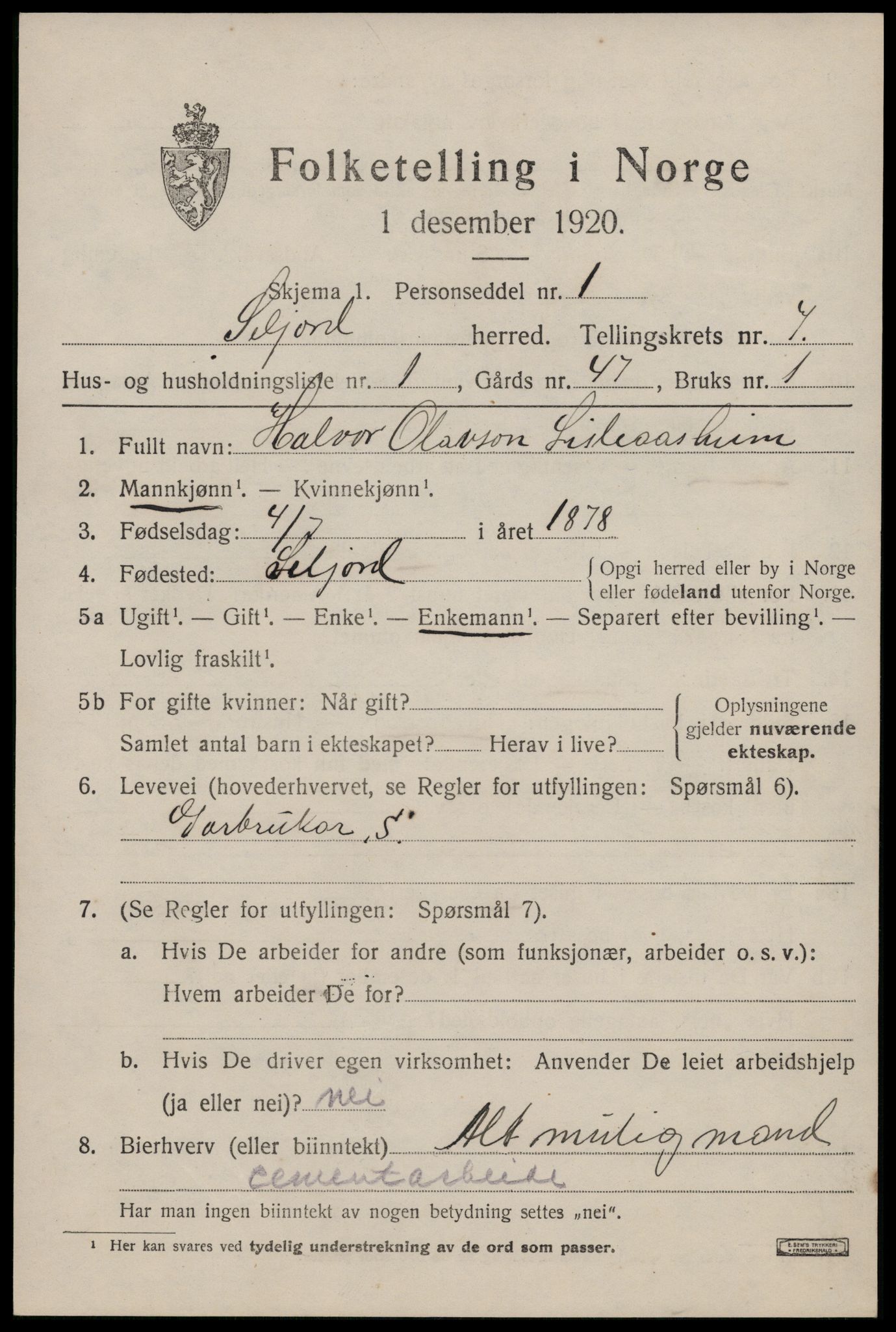 SAKO, 1920 census for Seljord, 1920, p. 3678