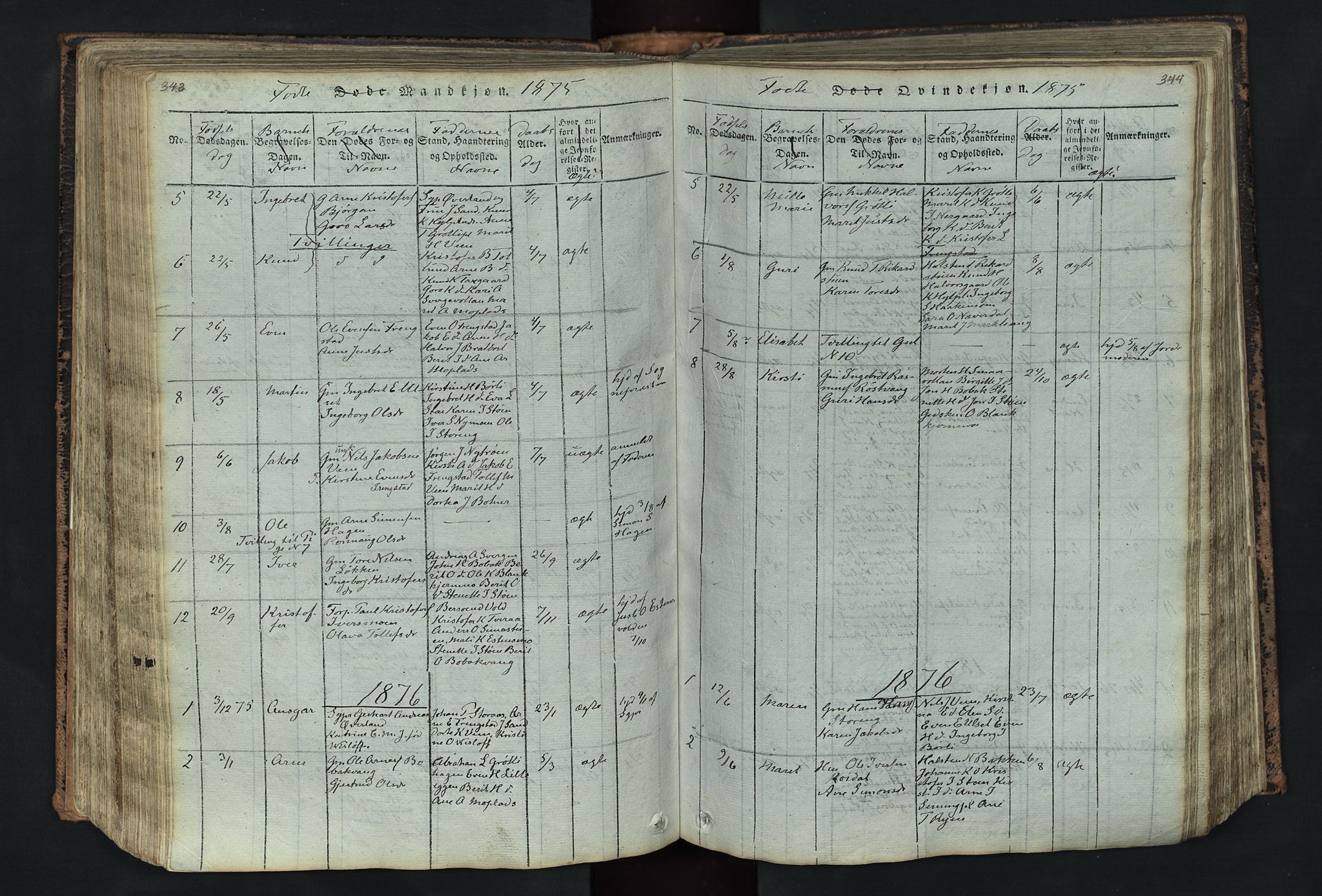 Kvikne prestekontor, SAH/PREST-064/H/Ha/Hab/L0001: Parish register (copy) no. 1, 1815-1895, p. 343-344