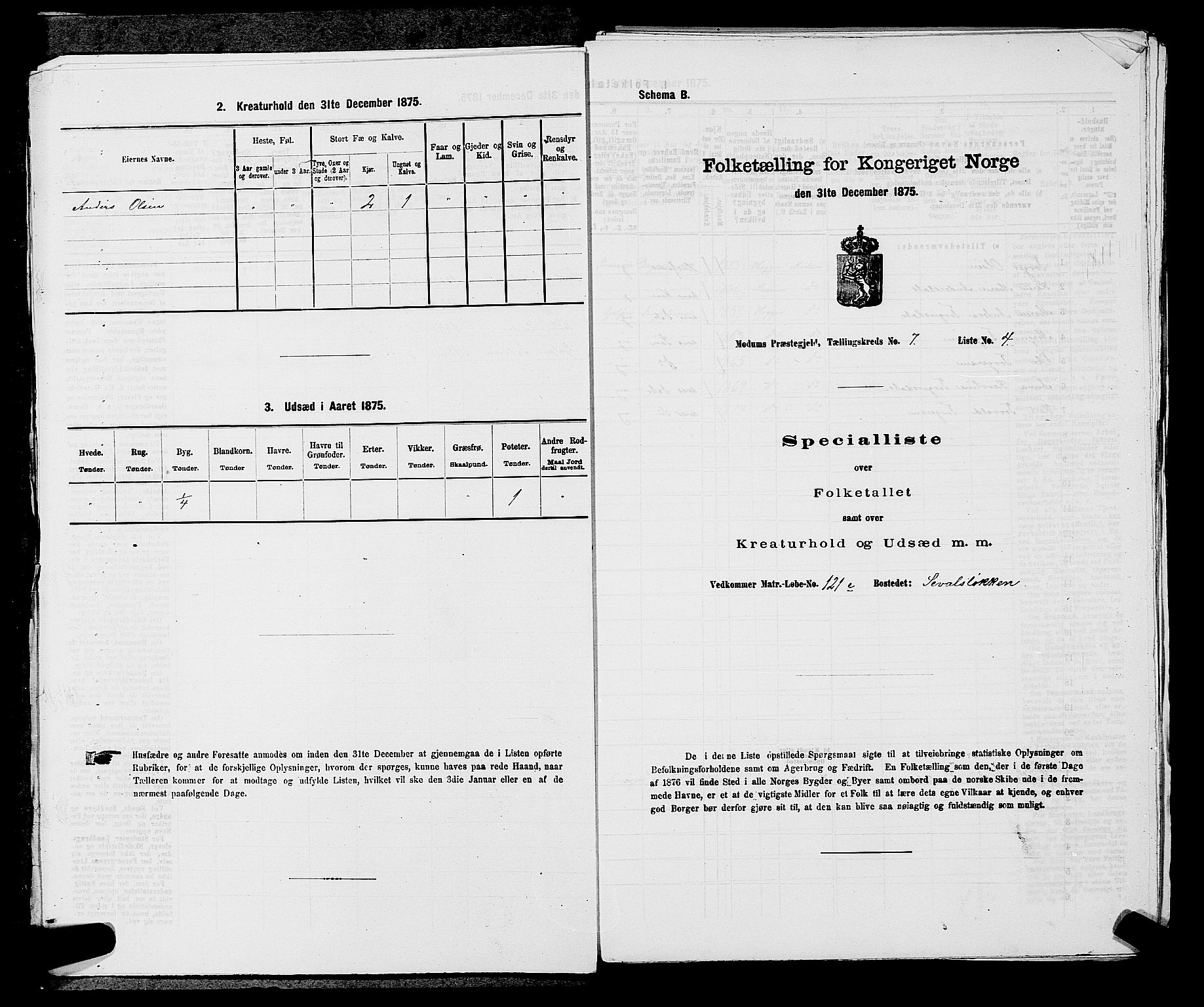 SAKO, 1875 census for 0623P Modum, 1875, p. 737