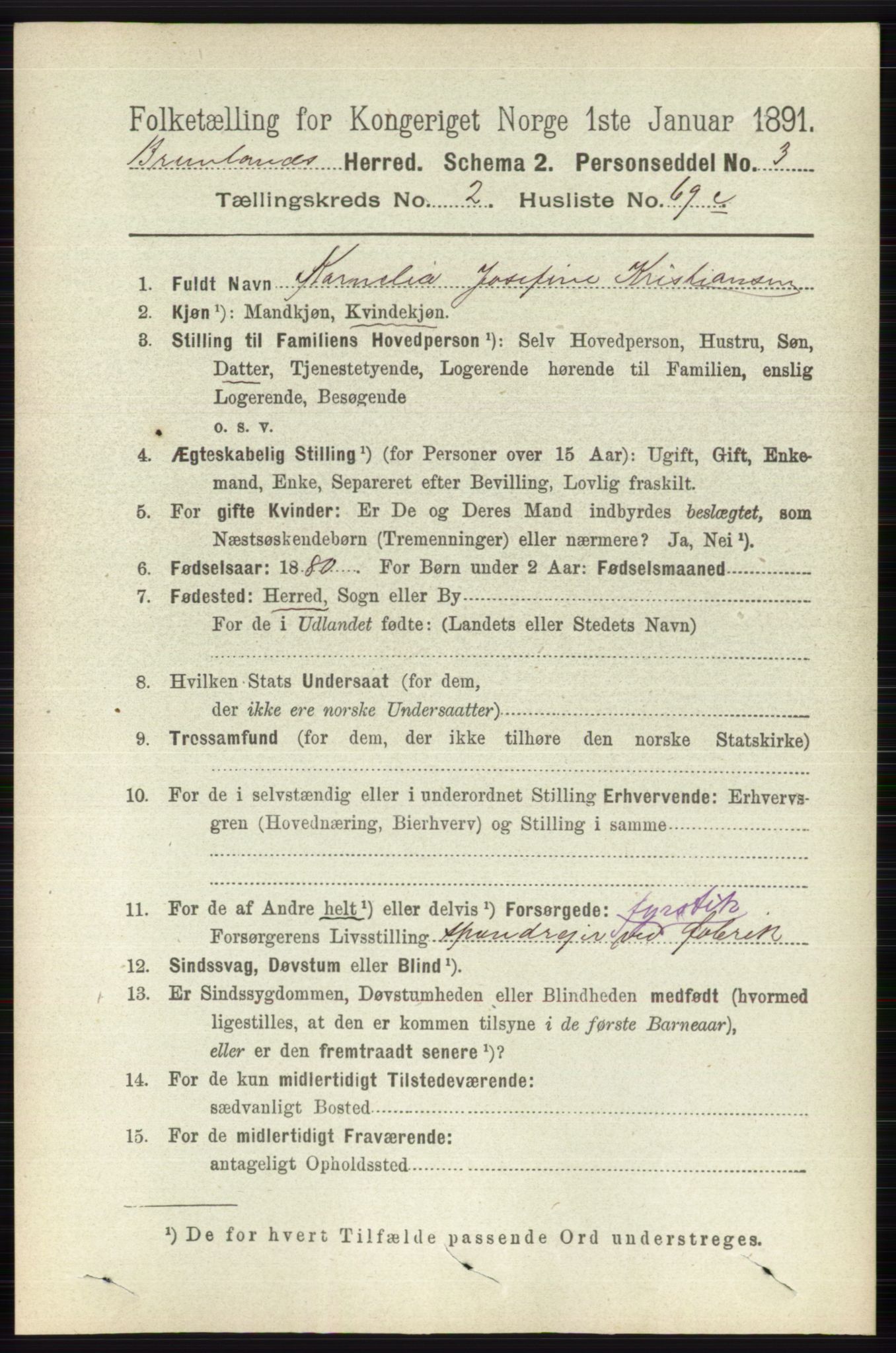 RA, 1891 census for 0726 Brunlanes, 1891, p. 1206