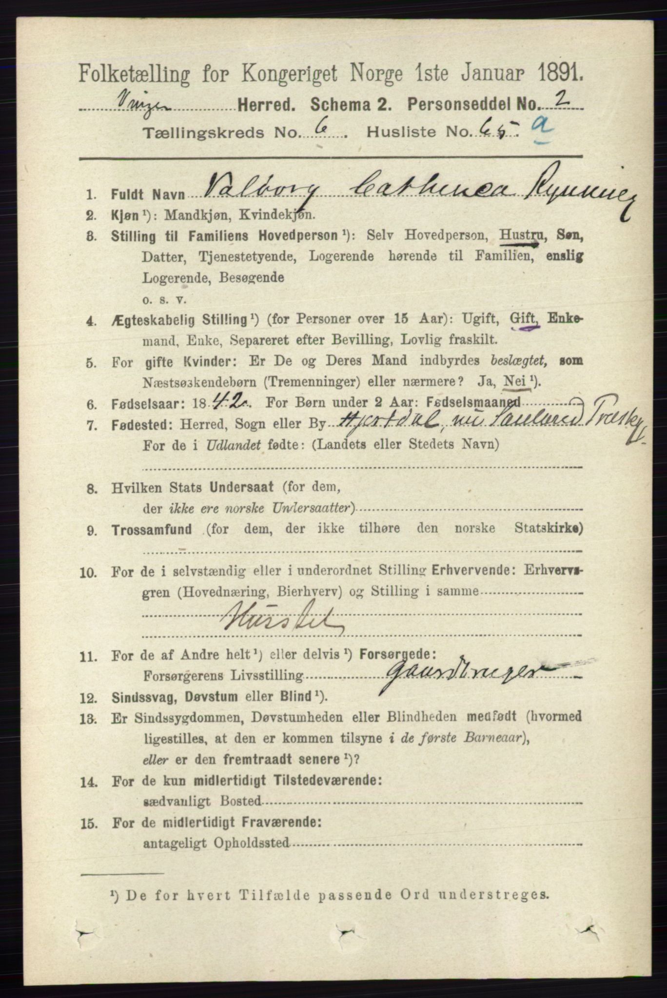 RA, 1891 census for 0421 Vinger, 1891, p. 2983