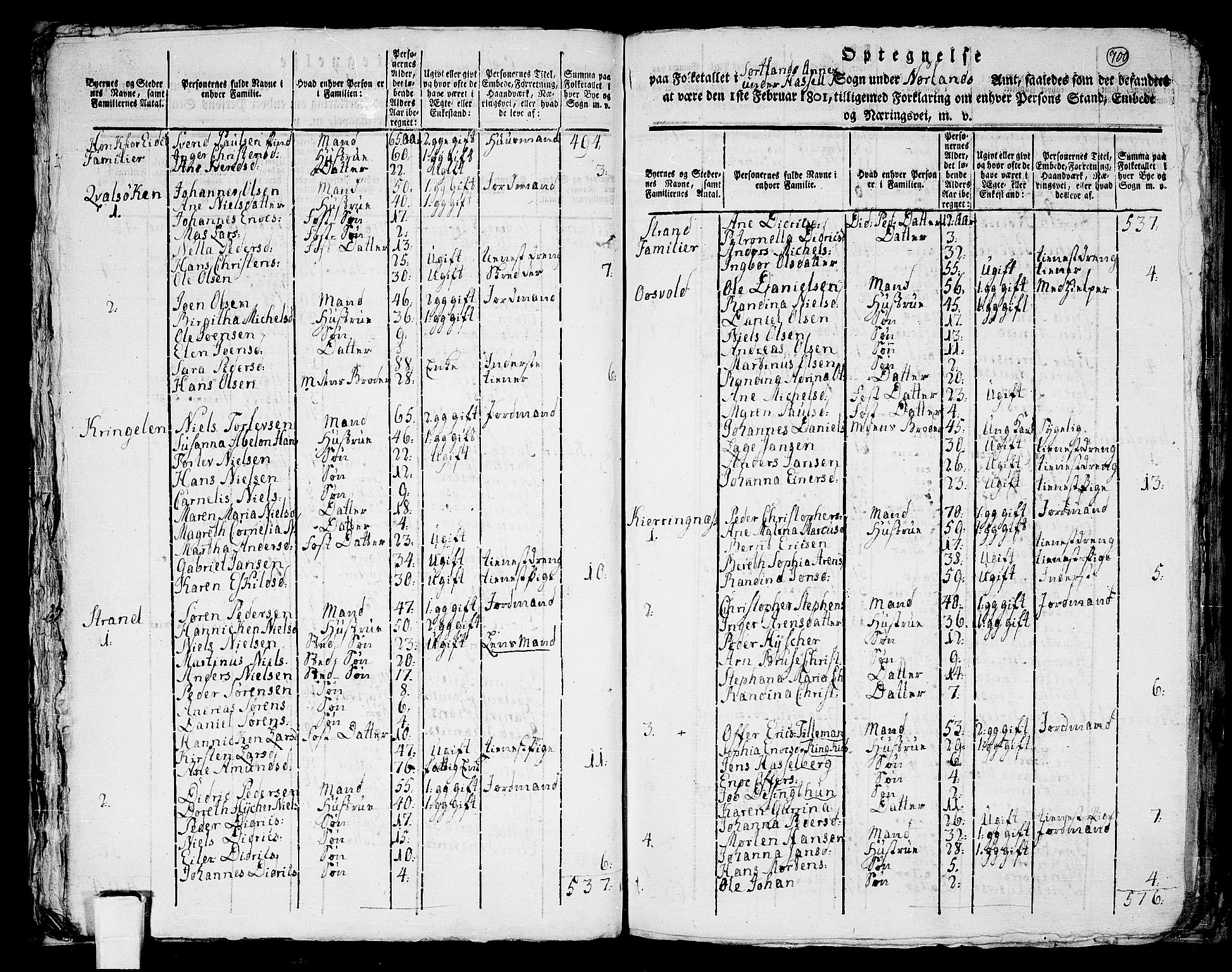 RA, 1801 census for 1866P Hadsel, 1801, p. 699b-700a