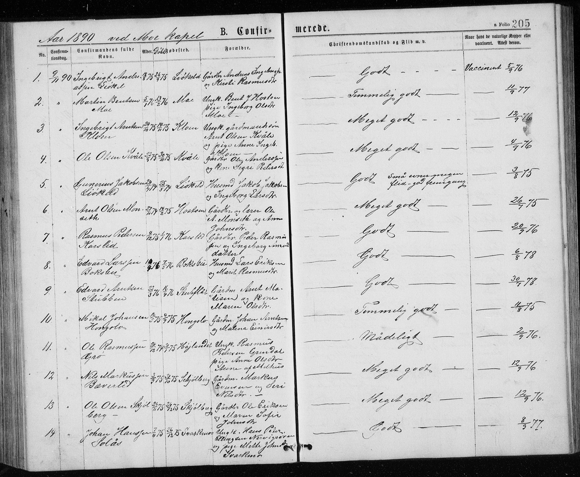 Ministerialprotokoller, klokkerbøker og fødselsregistre - Sør-Trøndelag, SAT/A-1456/671/L0843: Parish register (copy) no. 671C02, 1873-1892, p. 205