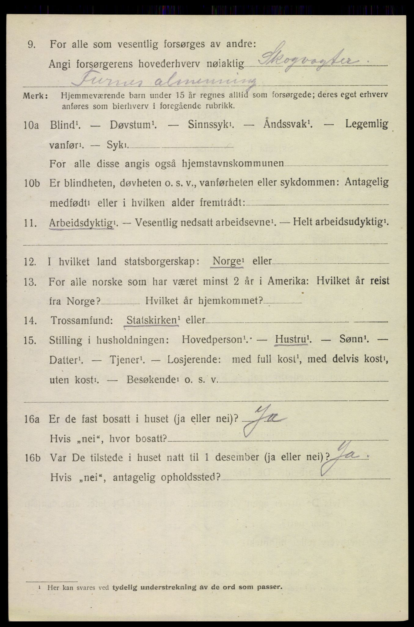 SAH, 1920 census for Furnes, 1920, p. 9618