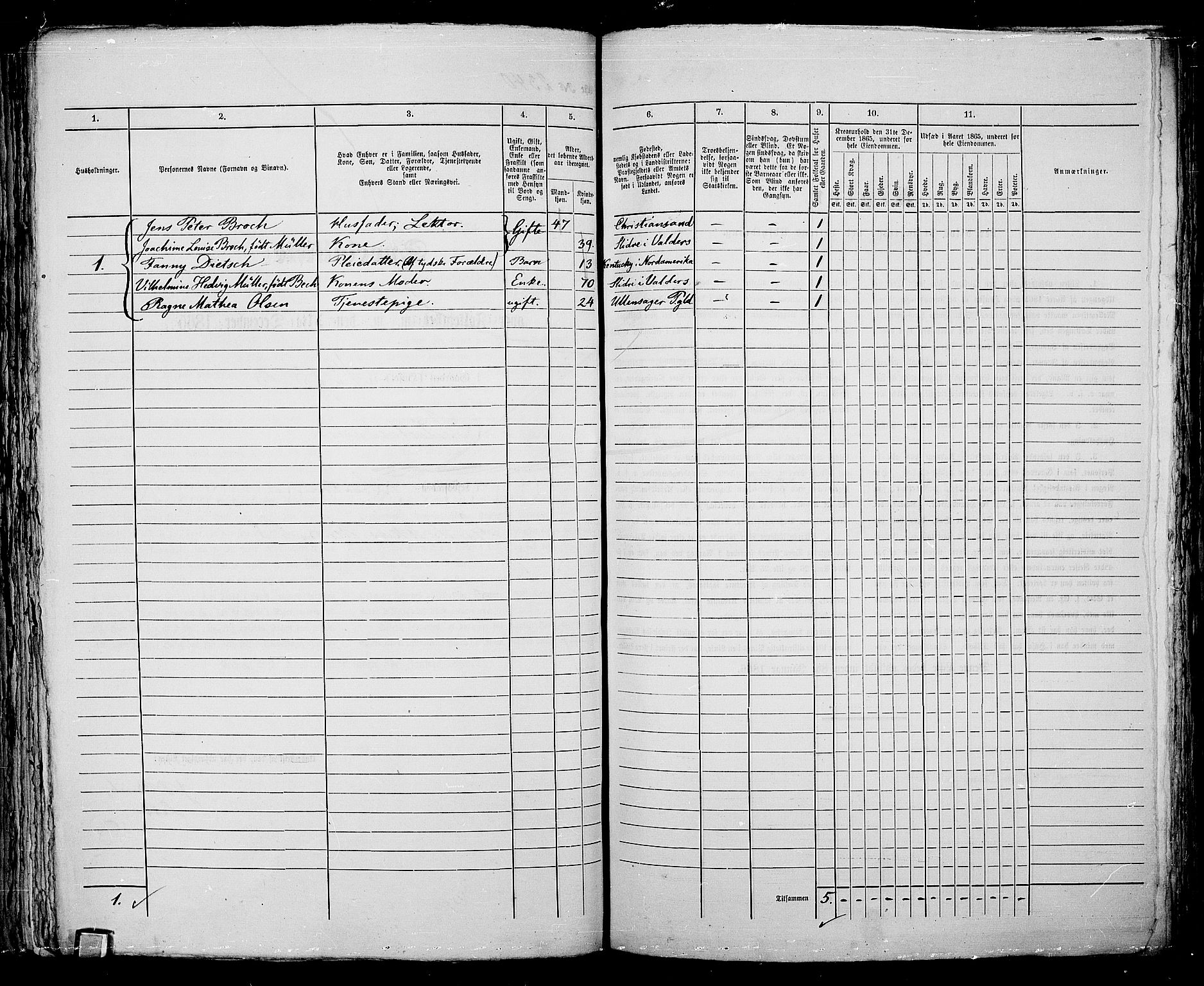 RA, 1865 census for Kristiania, 1865, p. 5211