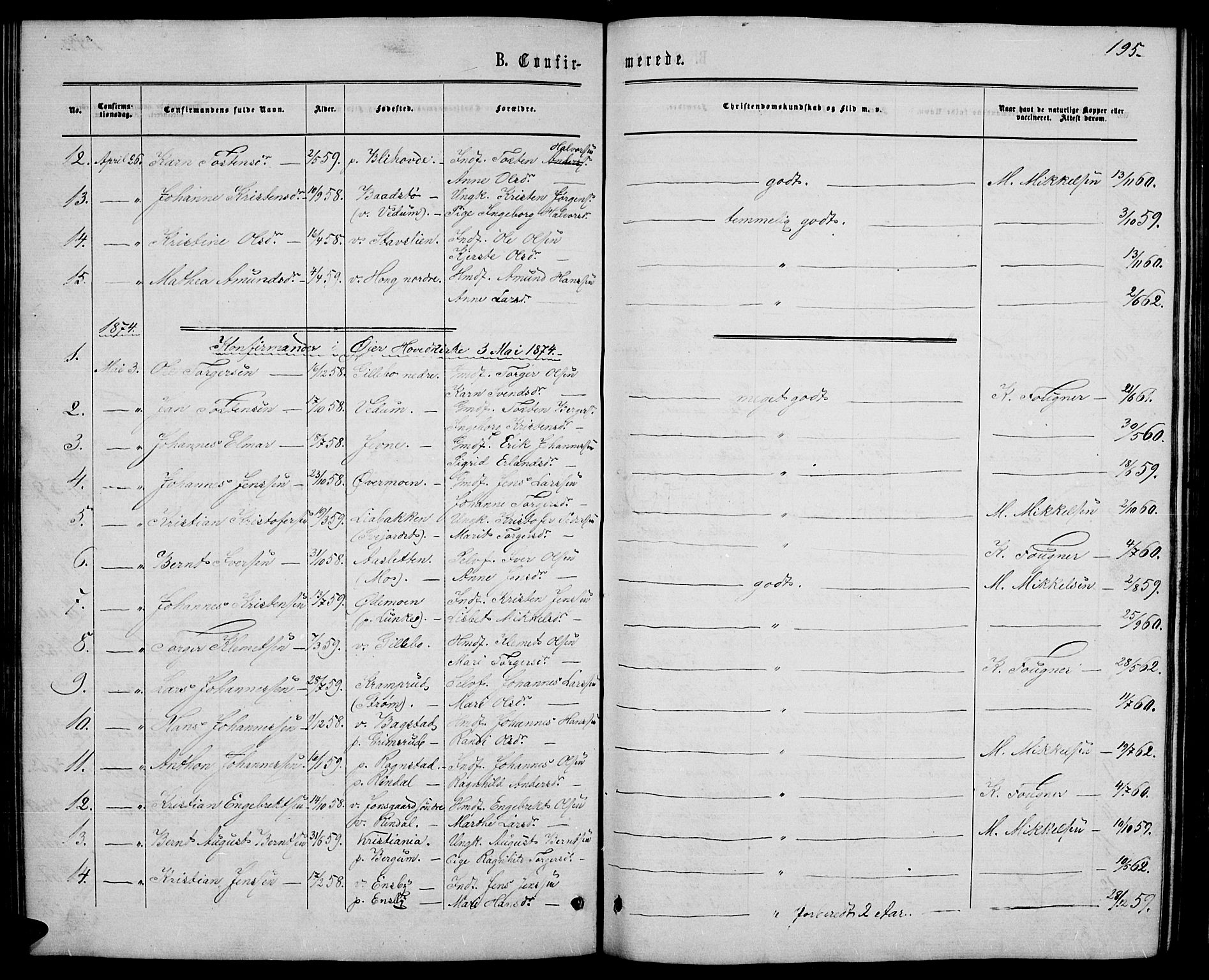 Øyer prestekontor, AV/SAH-PREST-084/H/Ha/Hab/L0001: Parish register (copy) no. 1, 1863-1877, p. 195