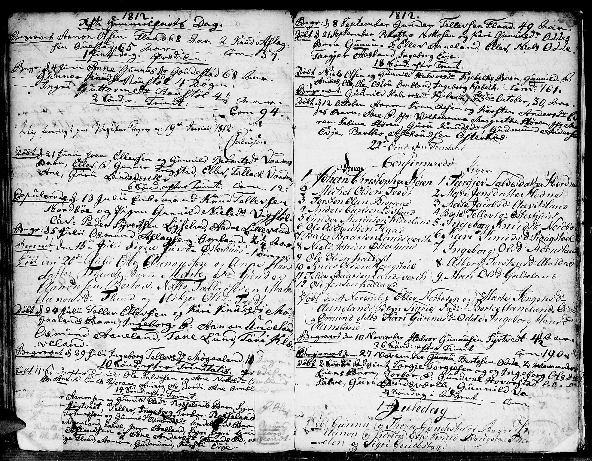 Evje sokneprestkontor, AV/SAK-1111-0008/F/Fa/Faa/L0003: Parish register (official) no. A 3, 1787-1816, p. 65