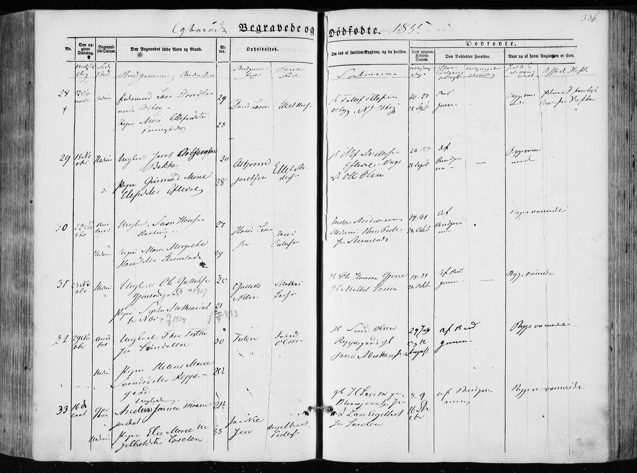 Hedrum kirkebøker, SAKO/A-344/F/Fa/L0006: Parish register (official) no. I 6, 1849-1857, p. 336