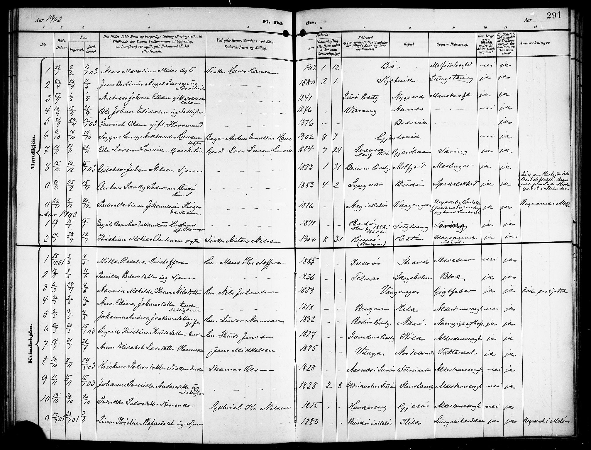 Ministerialprotokoller, klokkerbøker og fødselsregistre - Nordland, AV/SAT-A-1459/841/L0621: Parish register (copy) no. 841C05, 1897-1923, p. 291