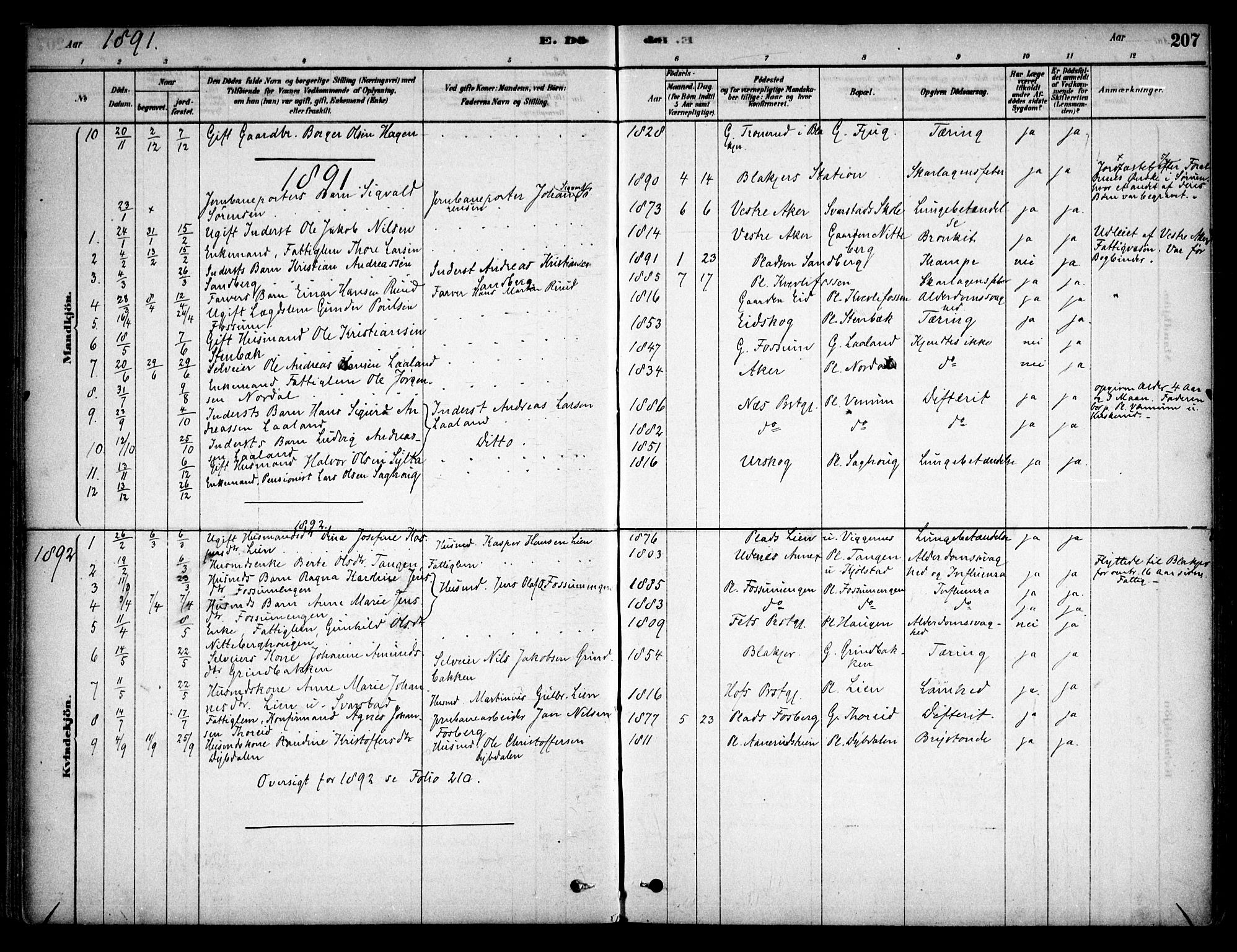 Aurskog prestekontor Kirkebøker, SAO/A-10304a/F/Fb/L0001: Parish register (official) no. II 1, 1878-1909, p. 207