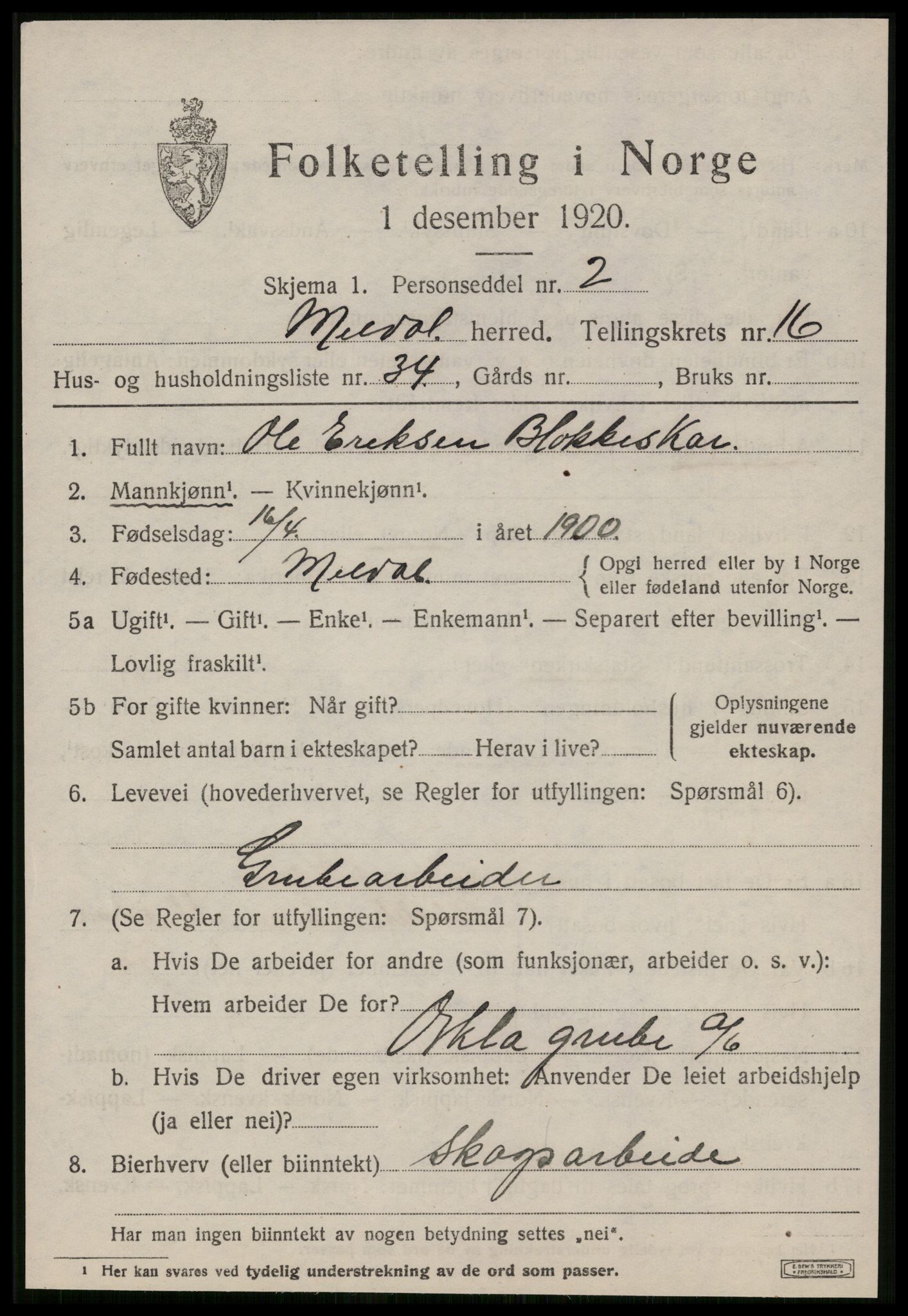 SAT, 1920 census for Meldal, 1920, p. 11121