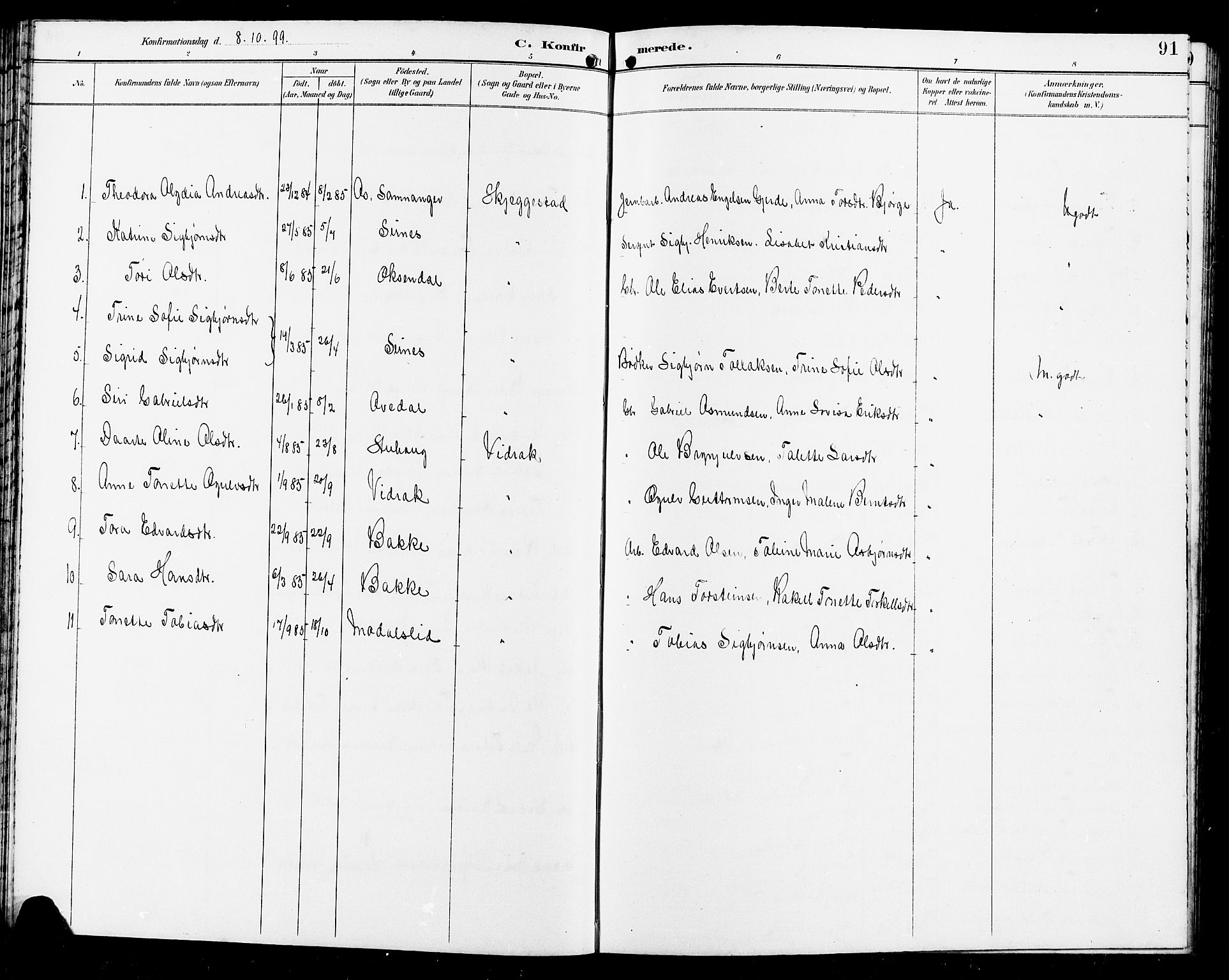 Bakke sokneprestkontor, SAK/1111-0002/F/Fb/Fba/L0003: Parish register (copy) no. B 3, 1894-1910, p. 91