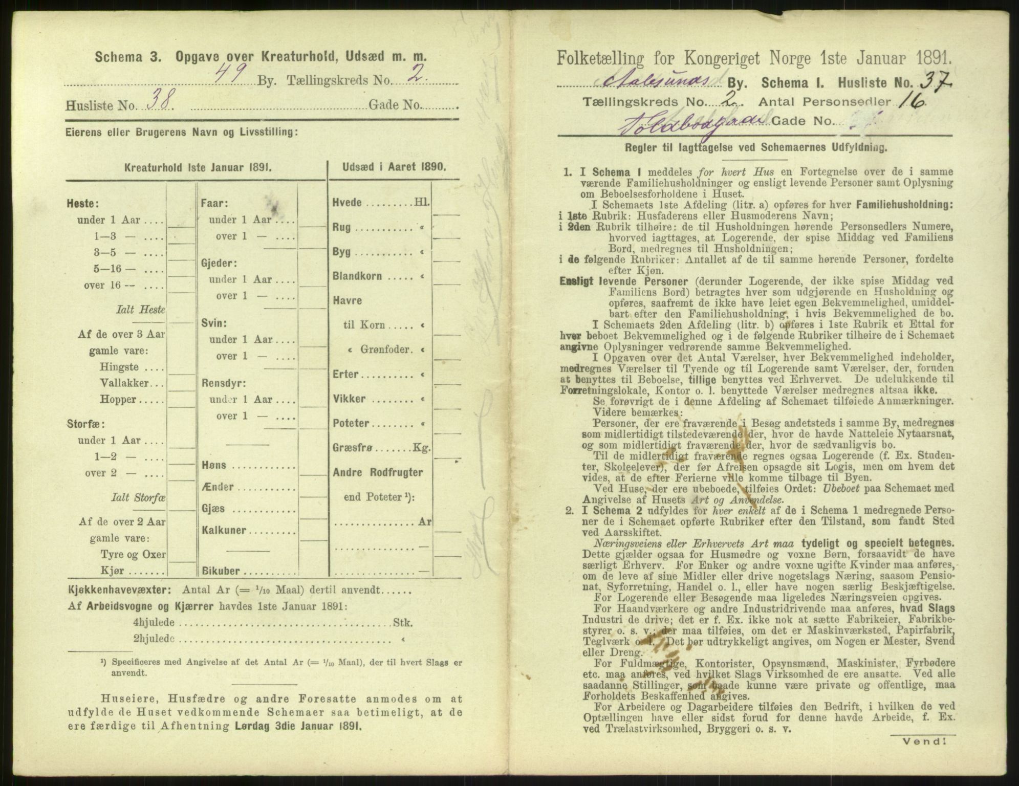 RA, 1891 census for 1501 Ålesund, 1891, p. 194