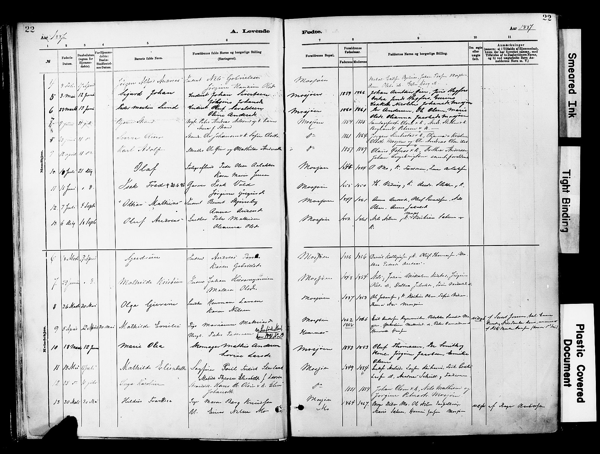 Ministerialprotokoller, klokkerbøker og fødselsregistre - Nordland, SAT/A-1459/820/L0296: Parish register (official) no. 820A17, 1880-1903, p. 22