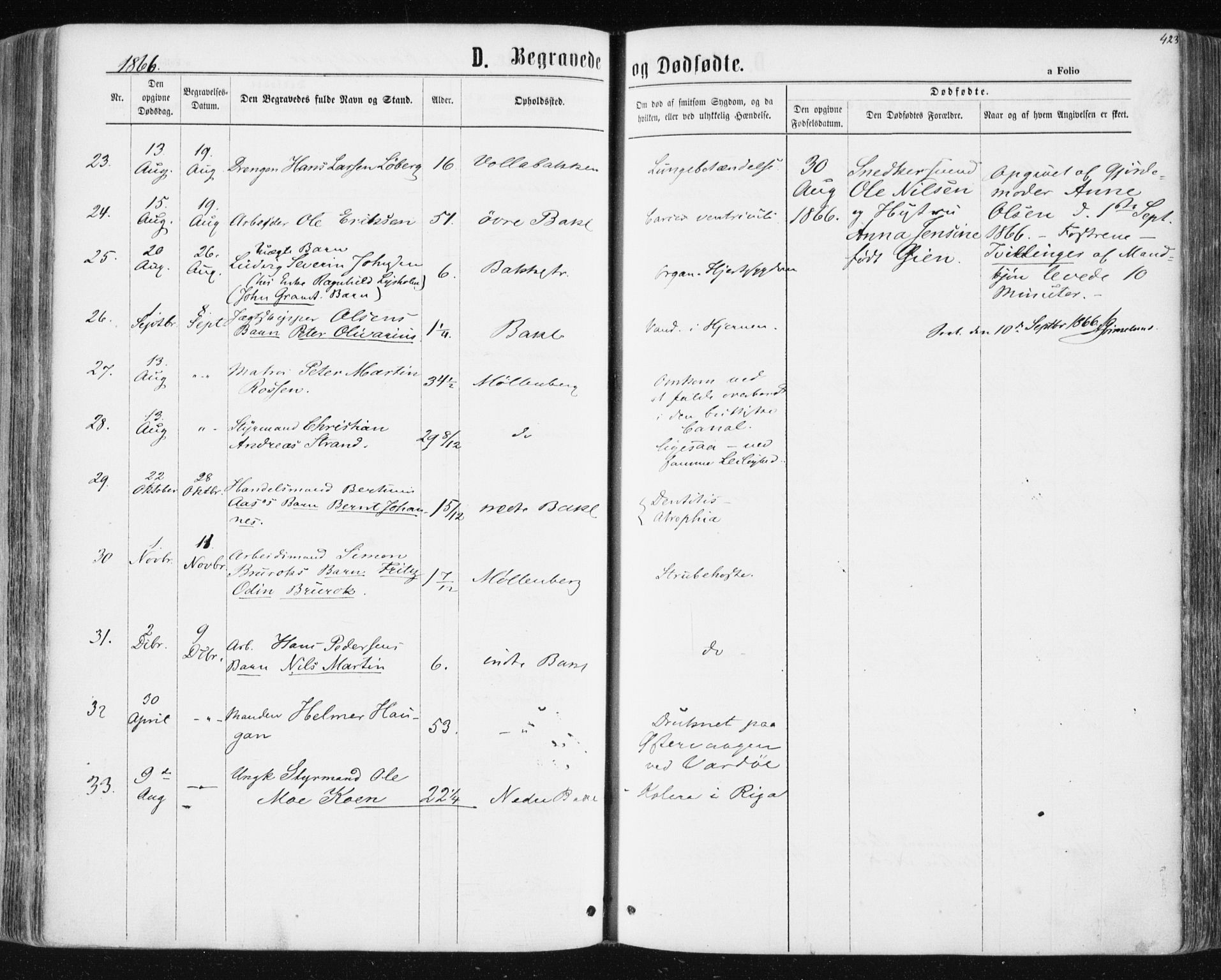 Ministerialprotokoller, klokkerbøker og fødselsregistre - Sør-Trøndelag, SAT/A-1456/604/L0186: Parish register (official) no. 604A07, 1866-1877, p. 423