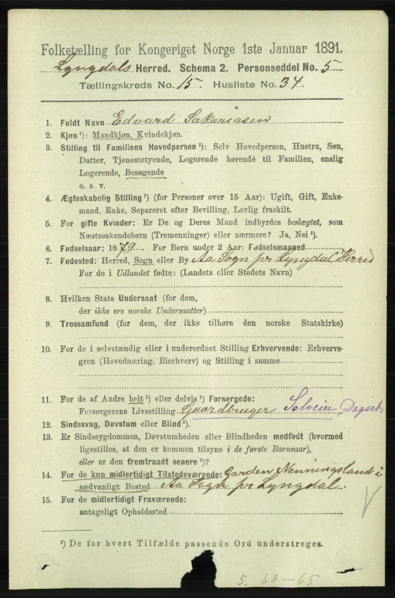 RA, 1891 census for 1032 Lyngdal, 1891, p. 6209