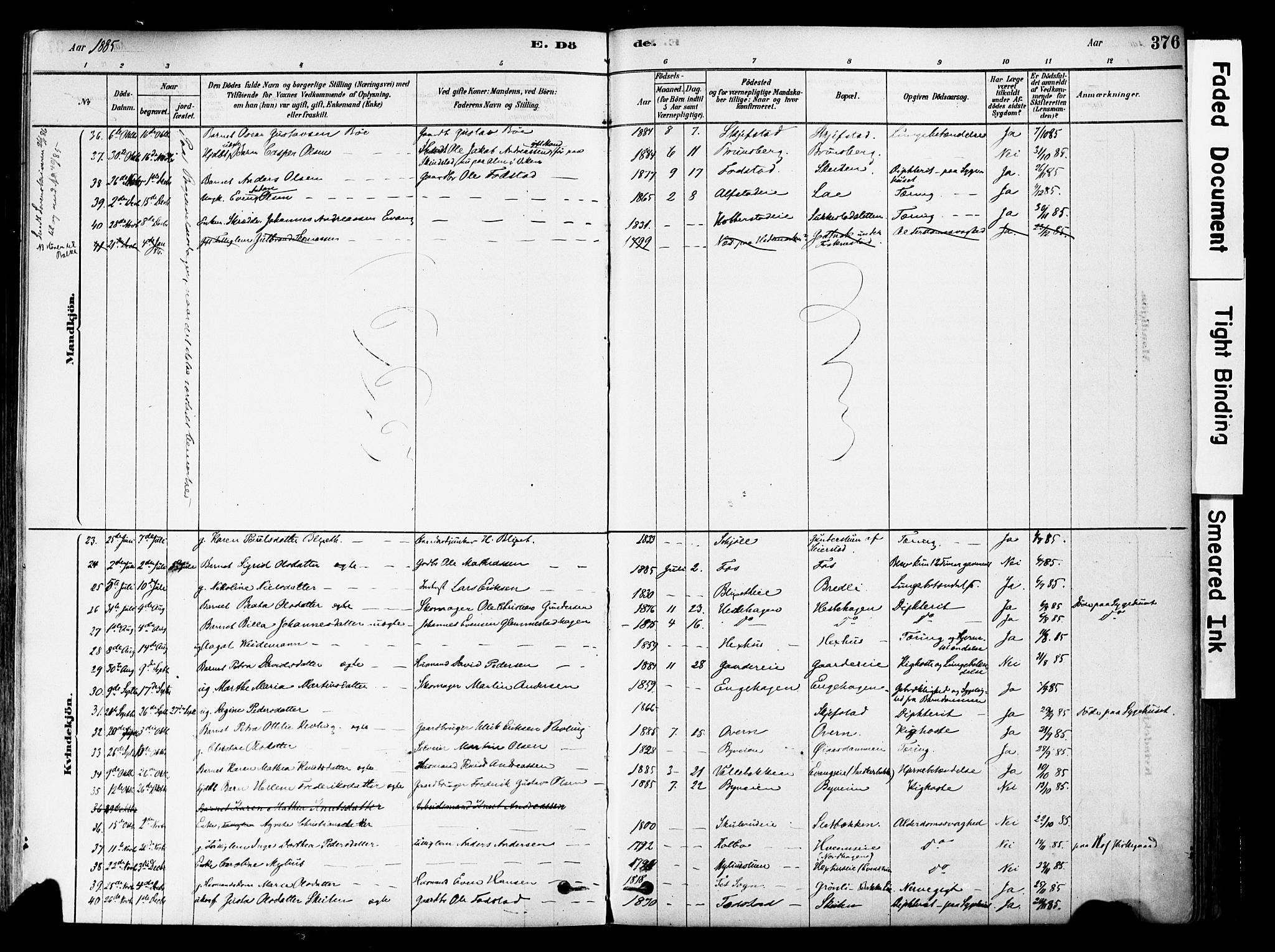 Østre Toten prestekontor, SAH/PREST-104/H/Ha/Haa/L0006: Parish register (official) no. 6 /1, 1878-1896, p. 376